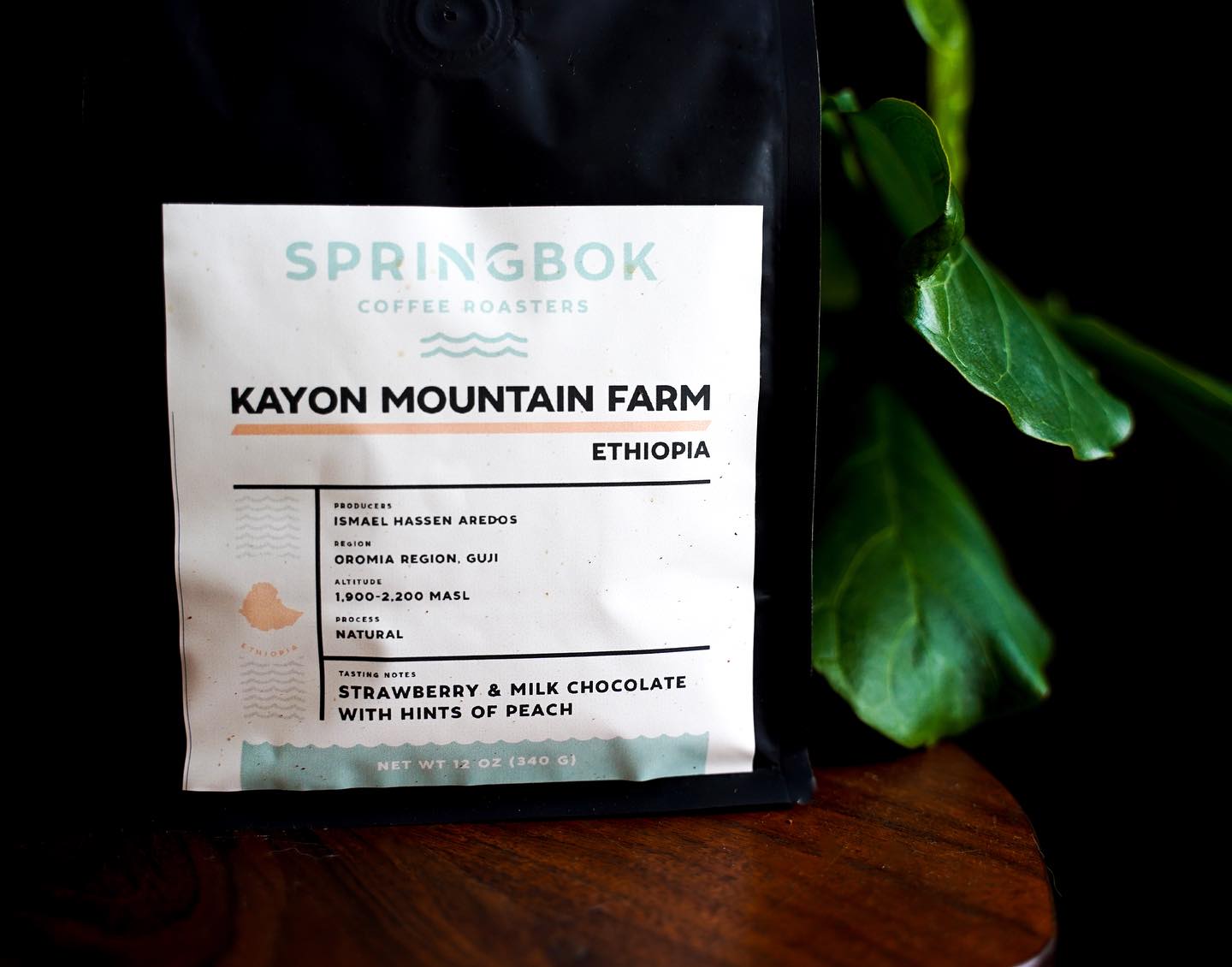 Springbok - ️Mondays call for Ethiopian coffee☕️🤌🏻💥 Available online ...
