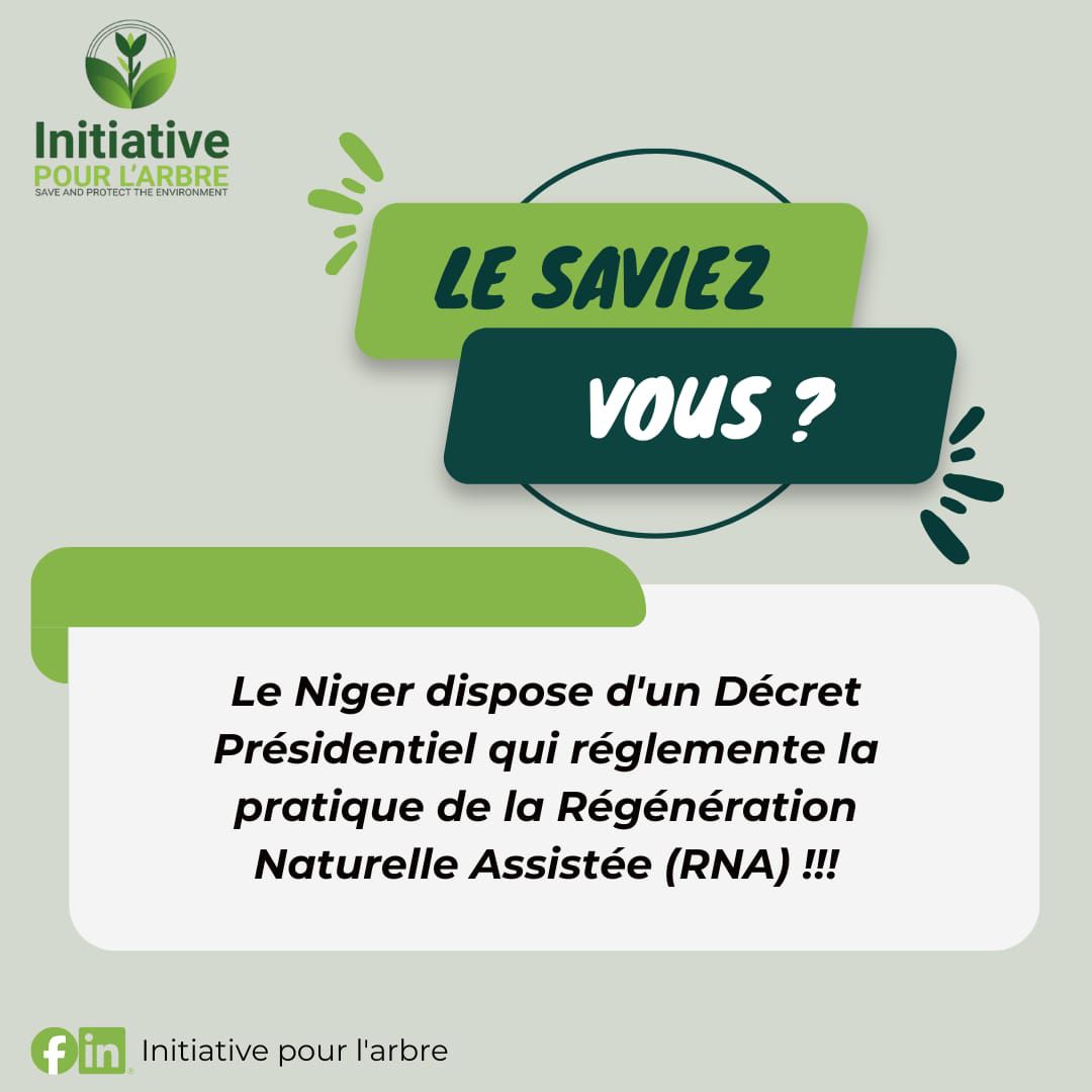 Le Niger est le berceau de la... - Initiative Pour l'Arbre | Facebook