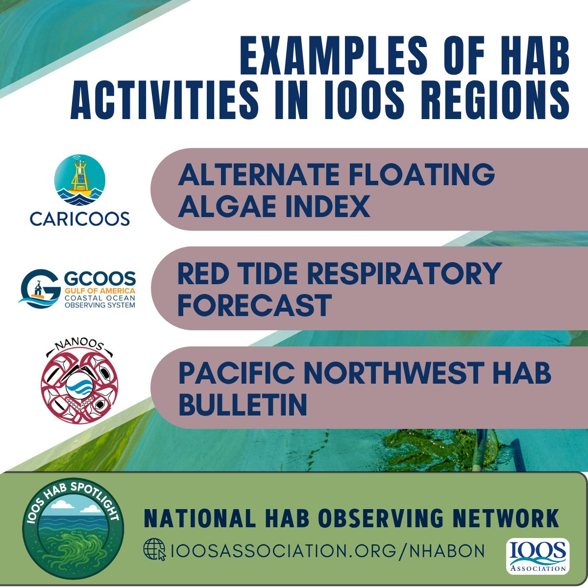 🌎 Harmful algal blooms are becoming more frequent in many parts