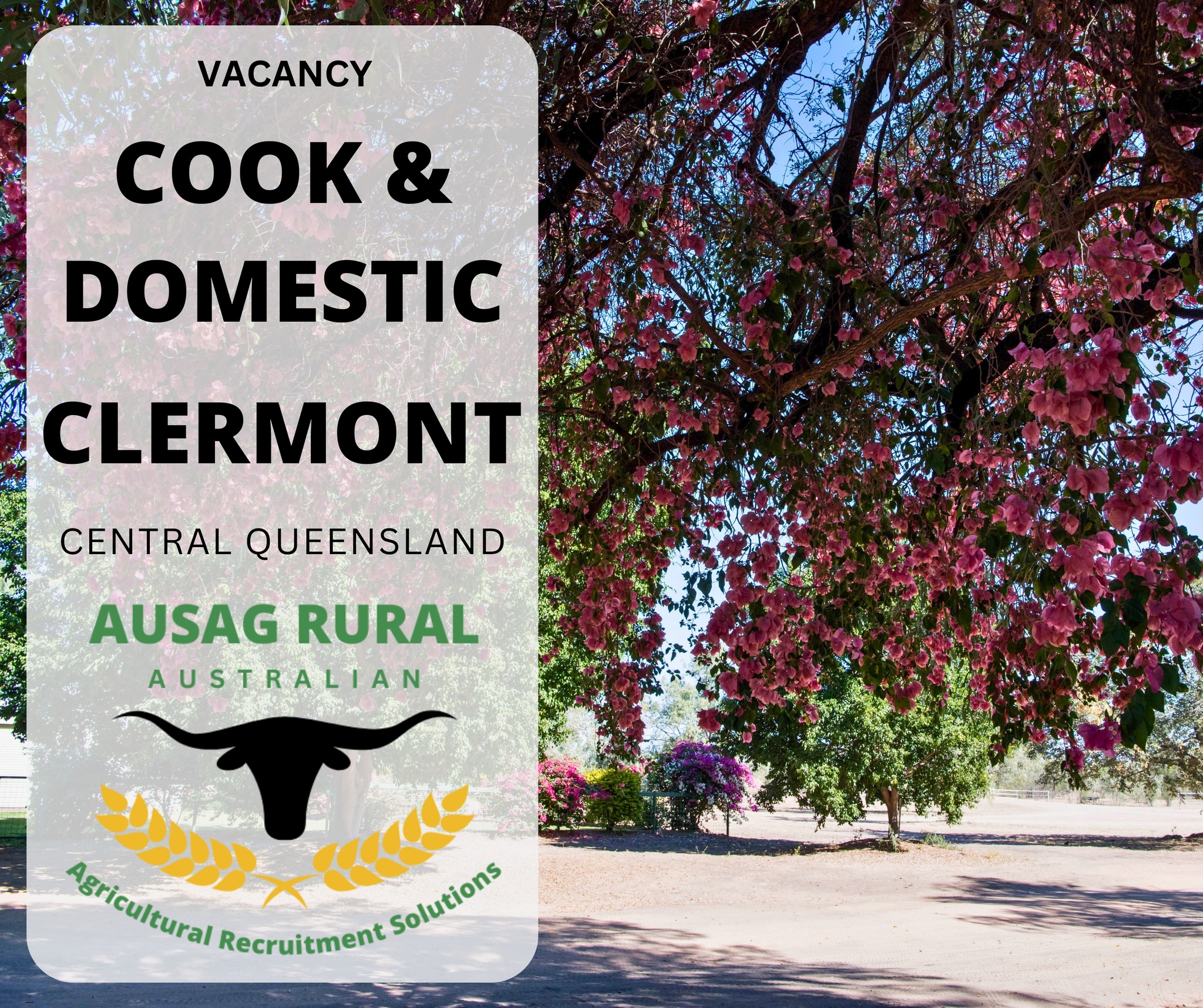 AUSAG RURAL - COOK & DOMESTIC, CLERMONT QLD Secure your... | Facebook