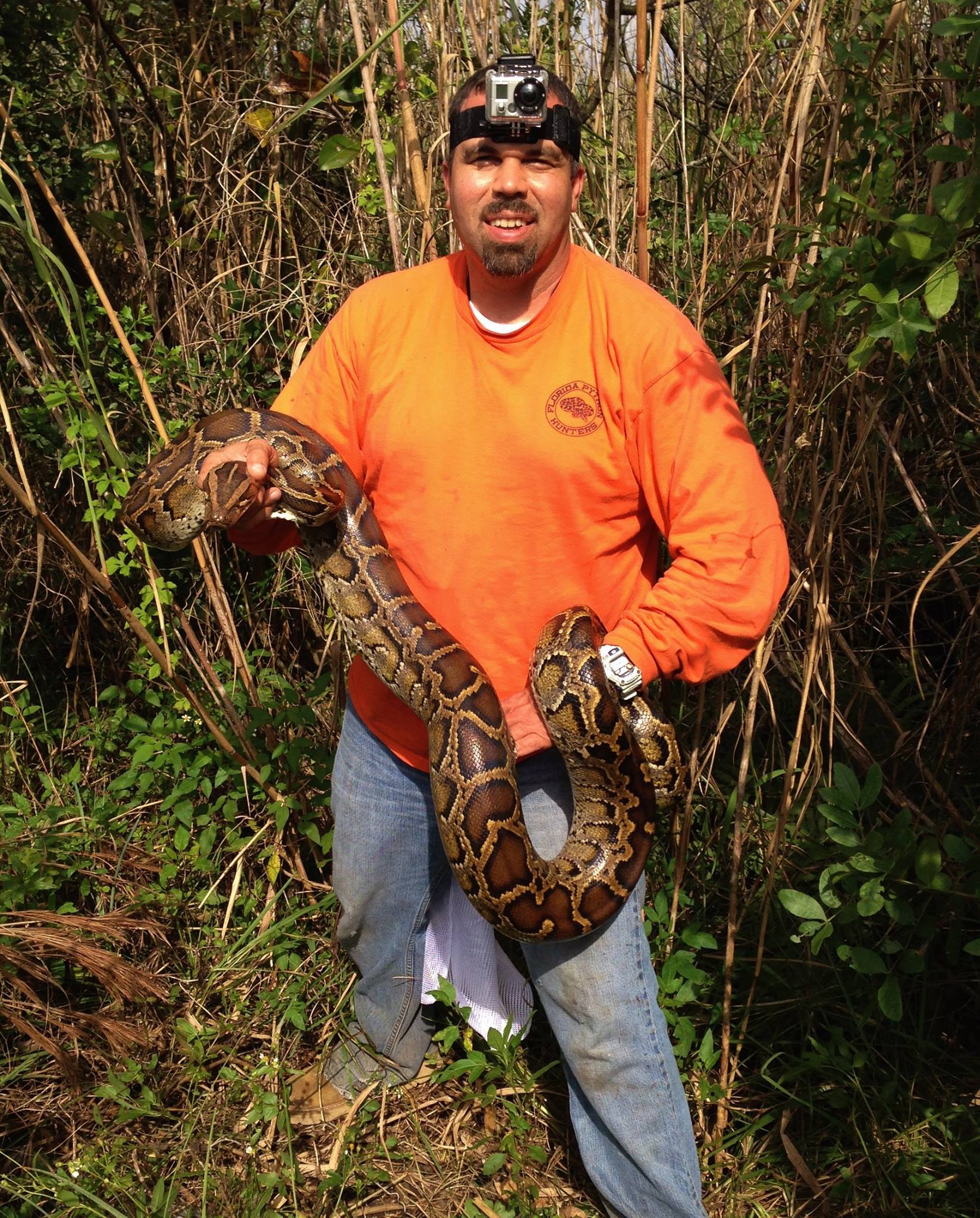 We had to bring in the New Year... - Florida Python Hunters | Facebook