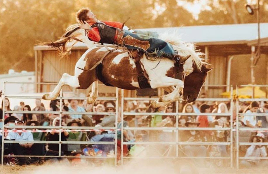 WHITTLESEA PRO RODEO 2026