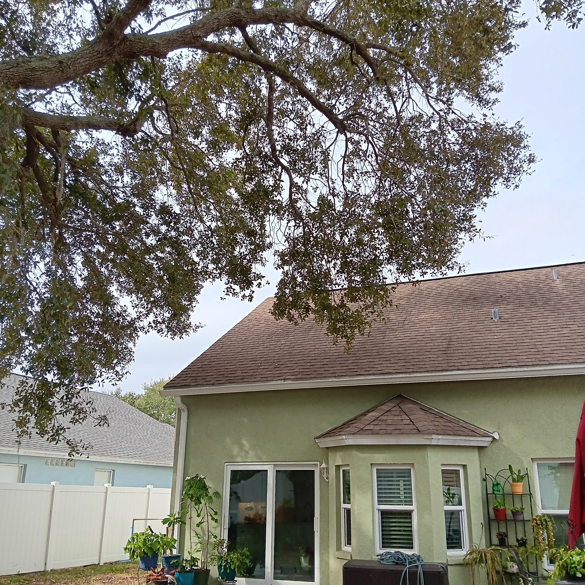 Lee Parker Stump Grinding & tree service LLC | Parrish FL