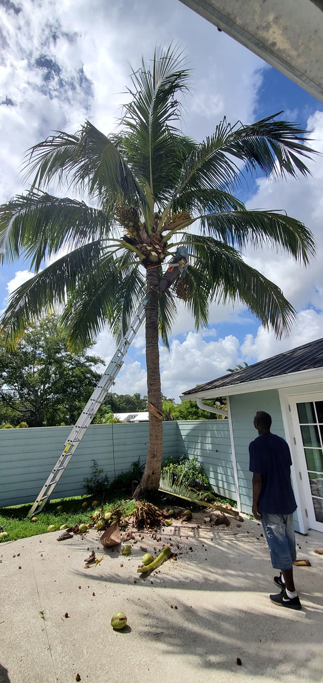 Pinnacle Lawn & Tree Service Inc