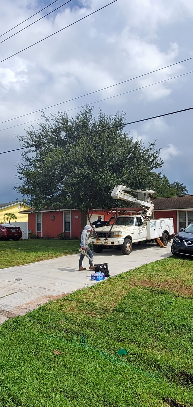 Pinnacle Lawn & Tree Service Inc