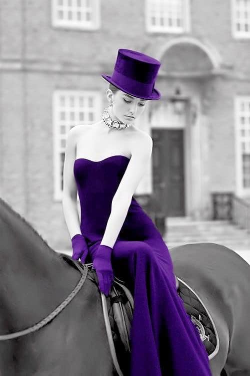 Gorgeous photo shared with 50 shades of purple community