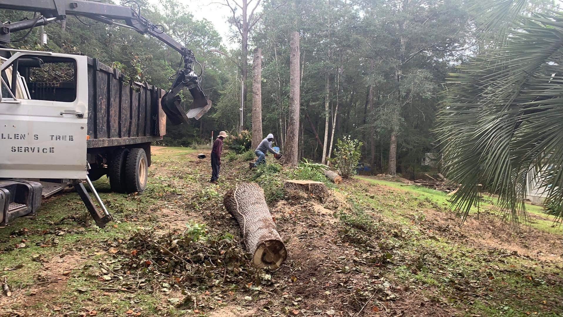Allen's Tree Service | Samson AL