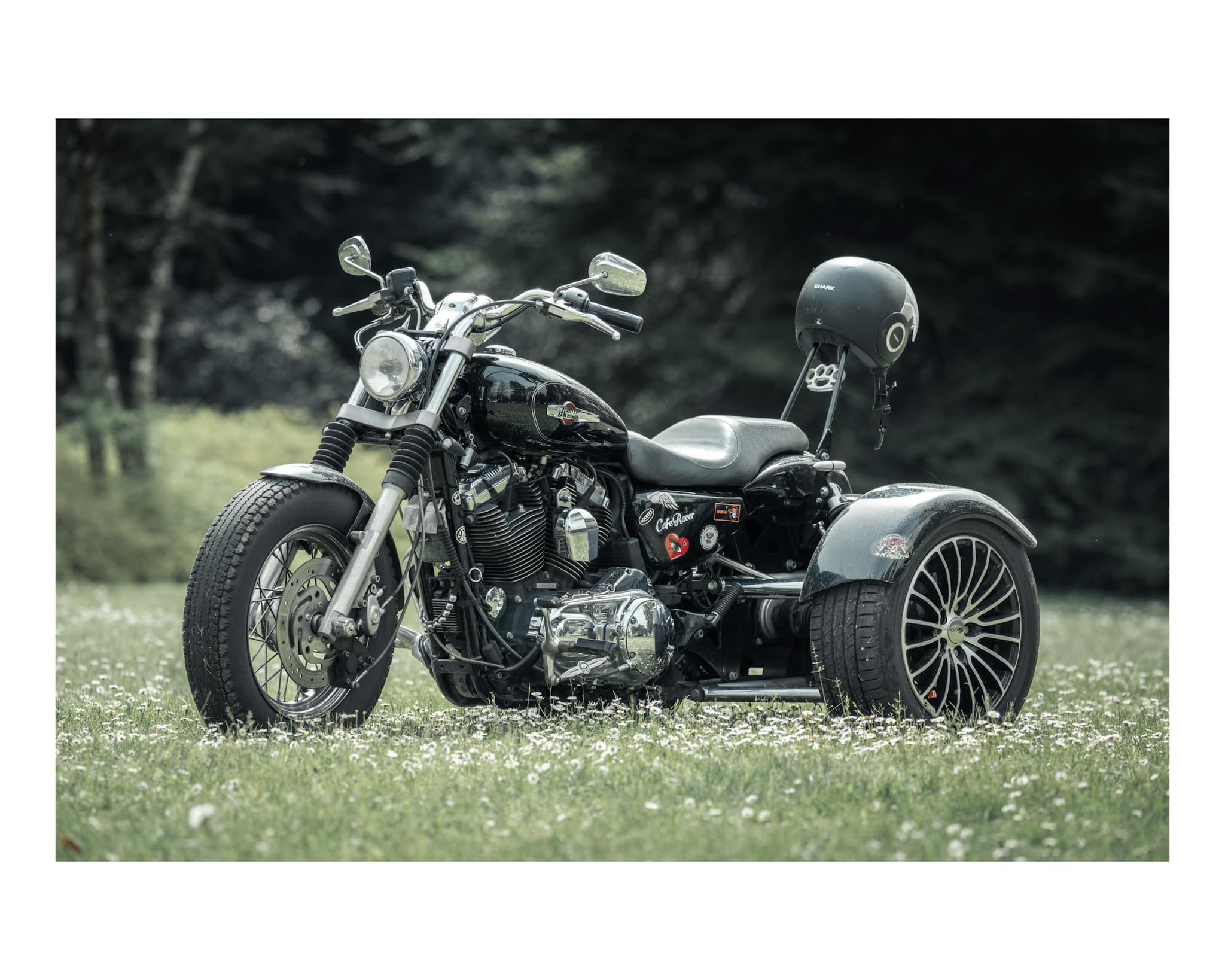 Paul Rault Sport