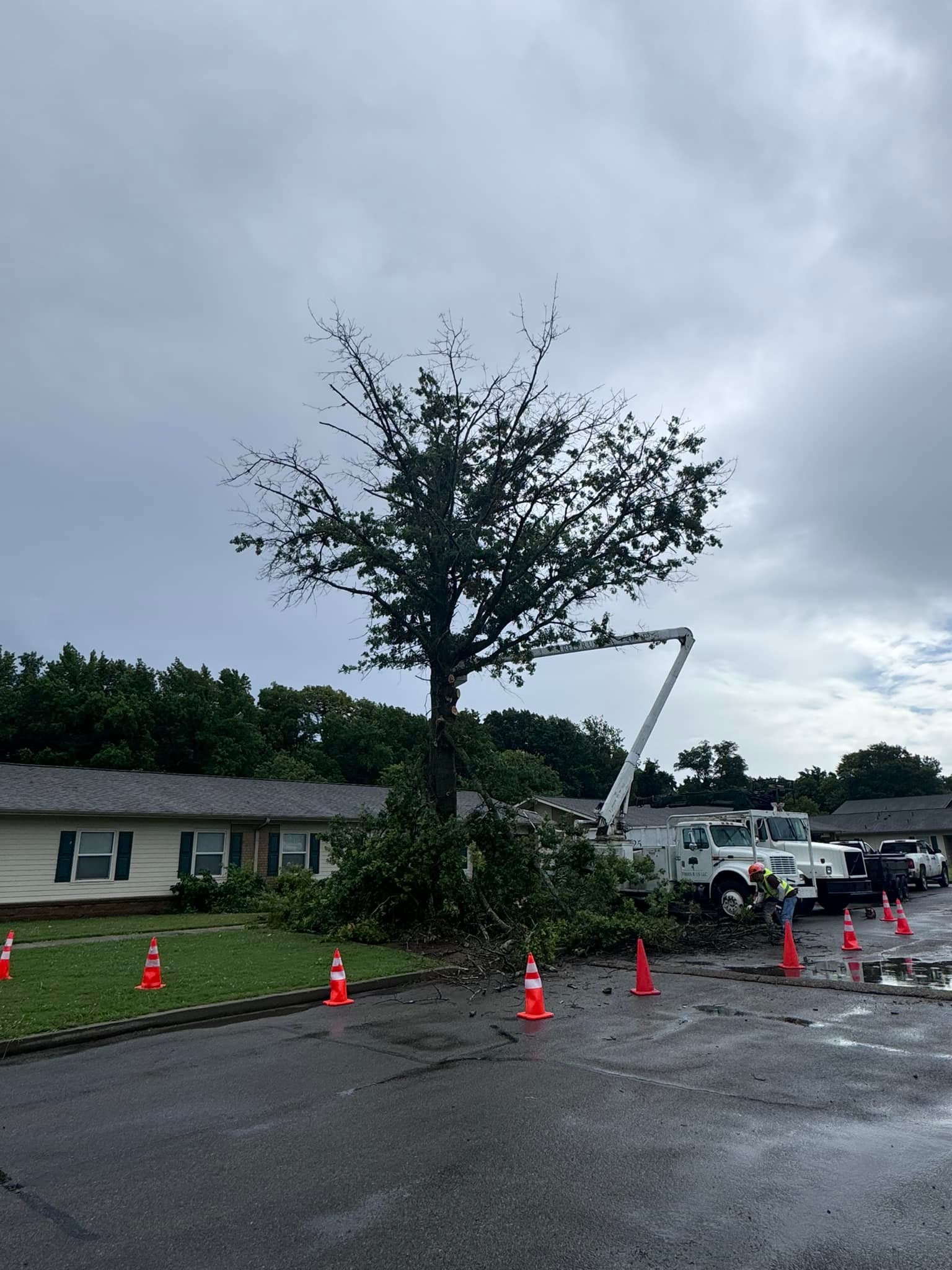 Trees R Us LLC