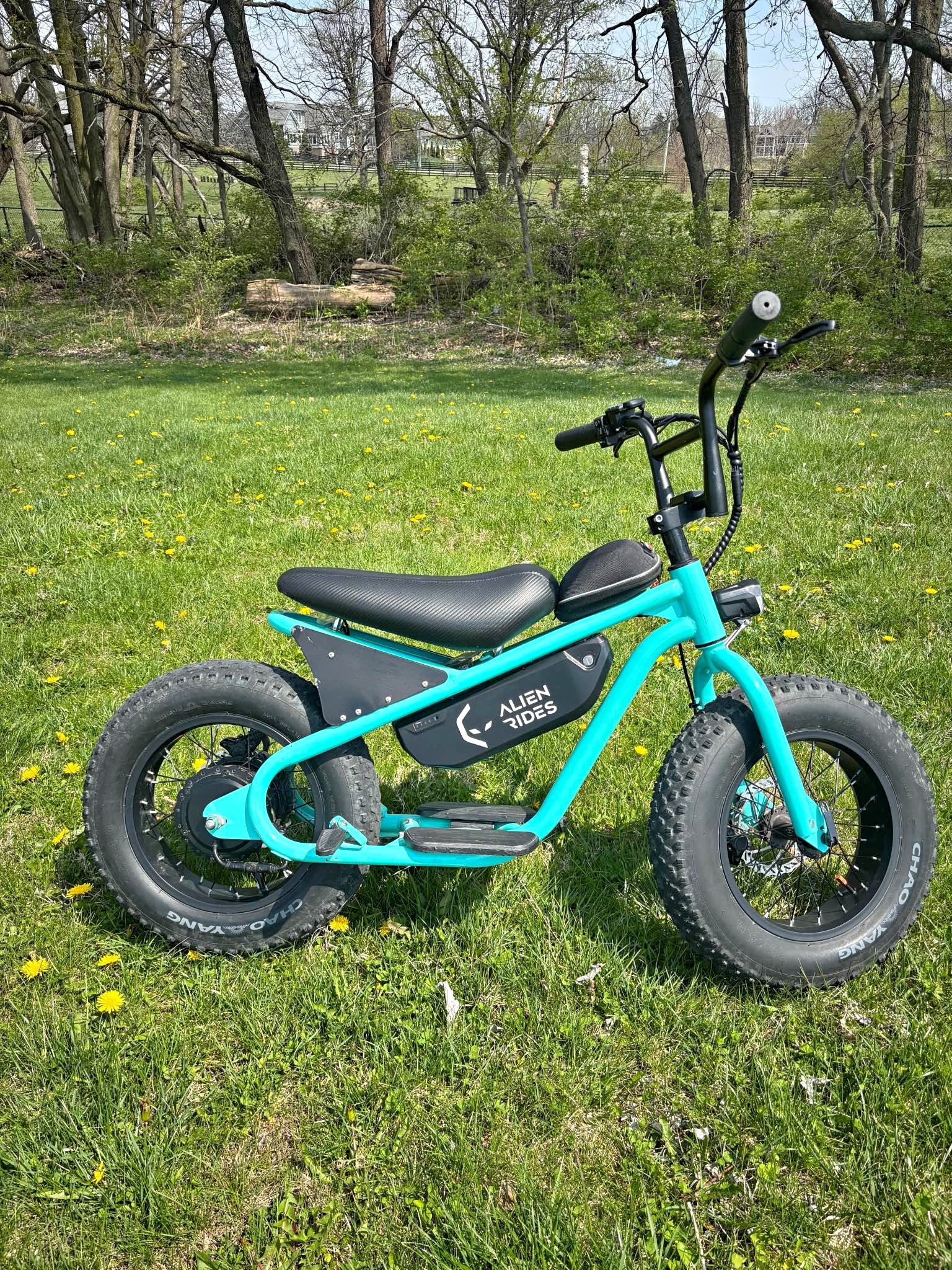 Alien Rides Atom E-Bike - Bicycles - Westfield, Indiana | Facebook ...