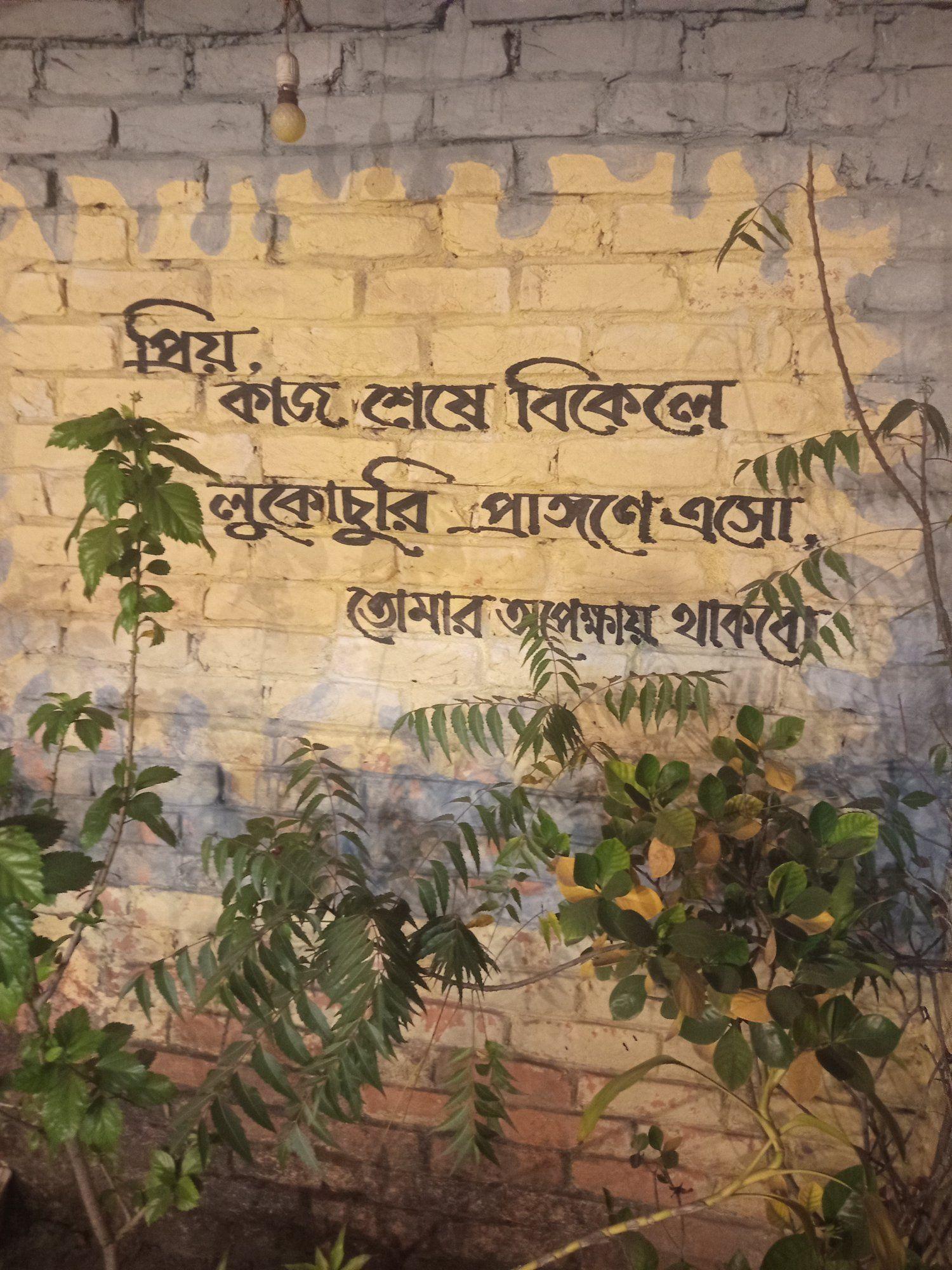 Md Roki Islam