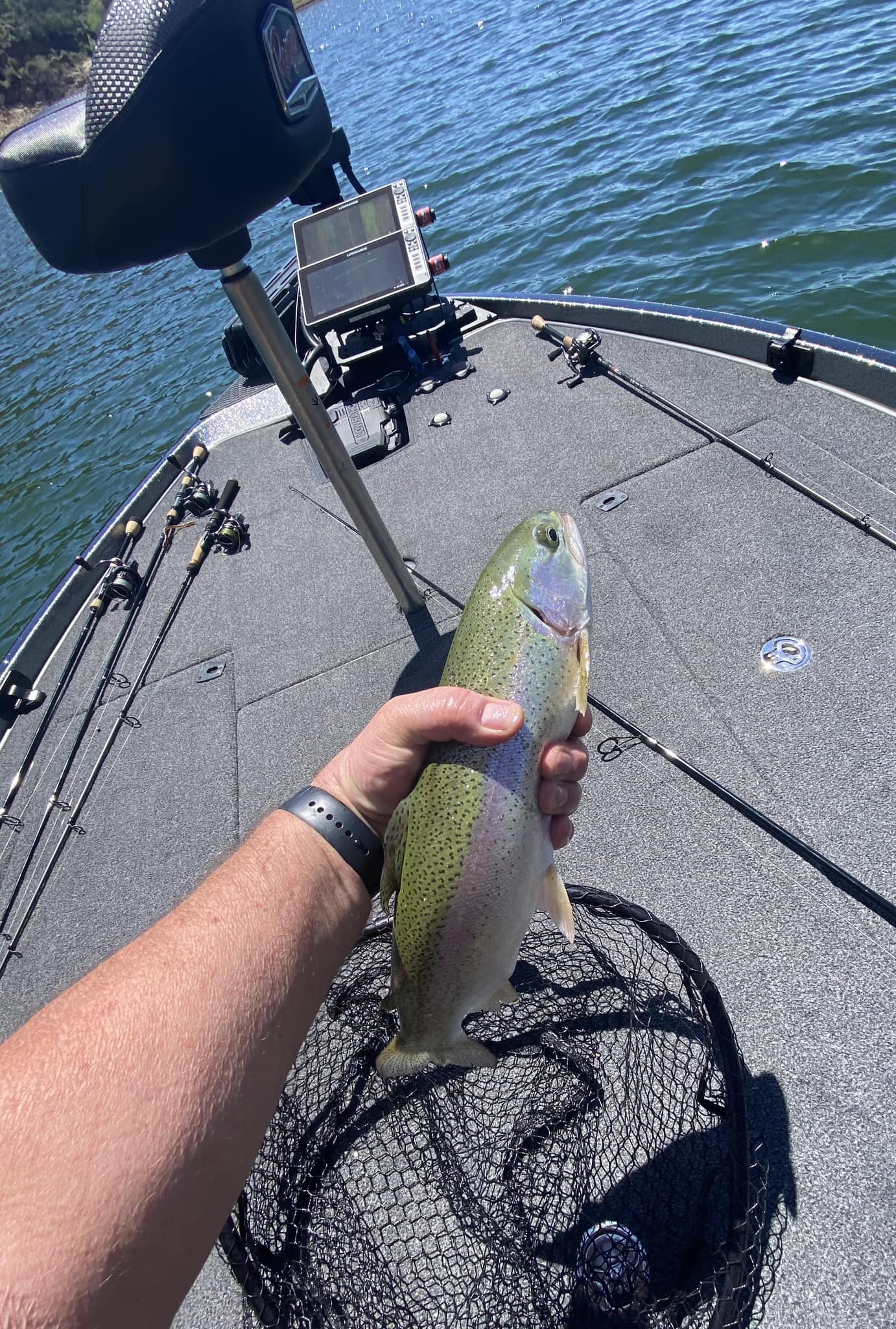 elizabeth lake fishing lures X Dr. Evil Northern Lights Series  Team Rhino Outdoors LLC X family Plug Building 2023: Interpreting Color