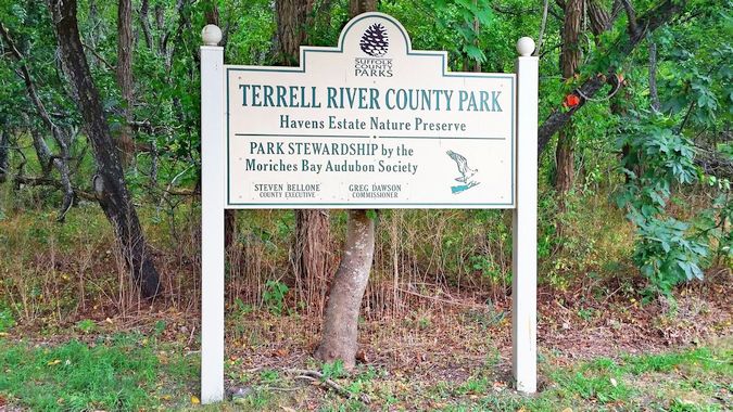 Terrell River Hike (3-4 Miles) Level 2