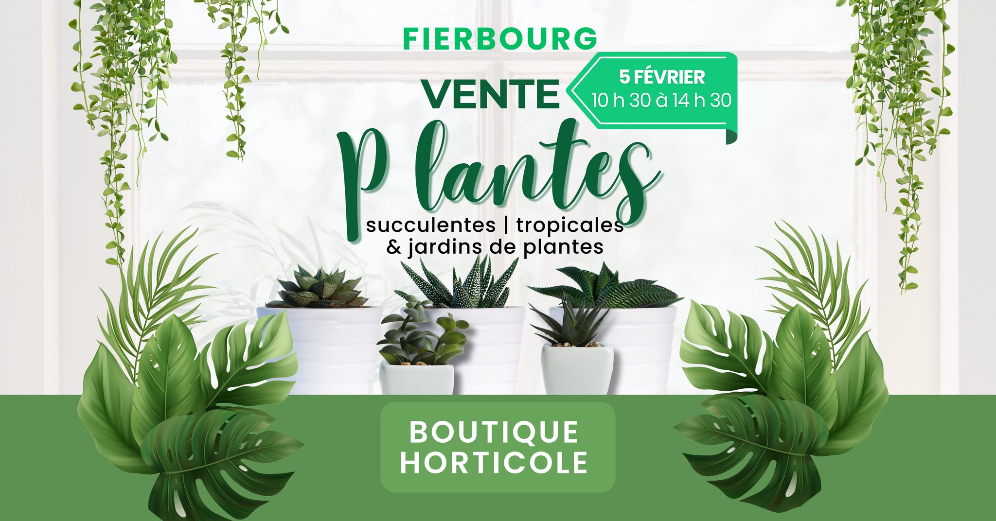 vente-de-plantes-succulentes-petit-prix-fierbourg