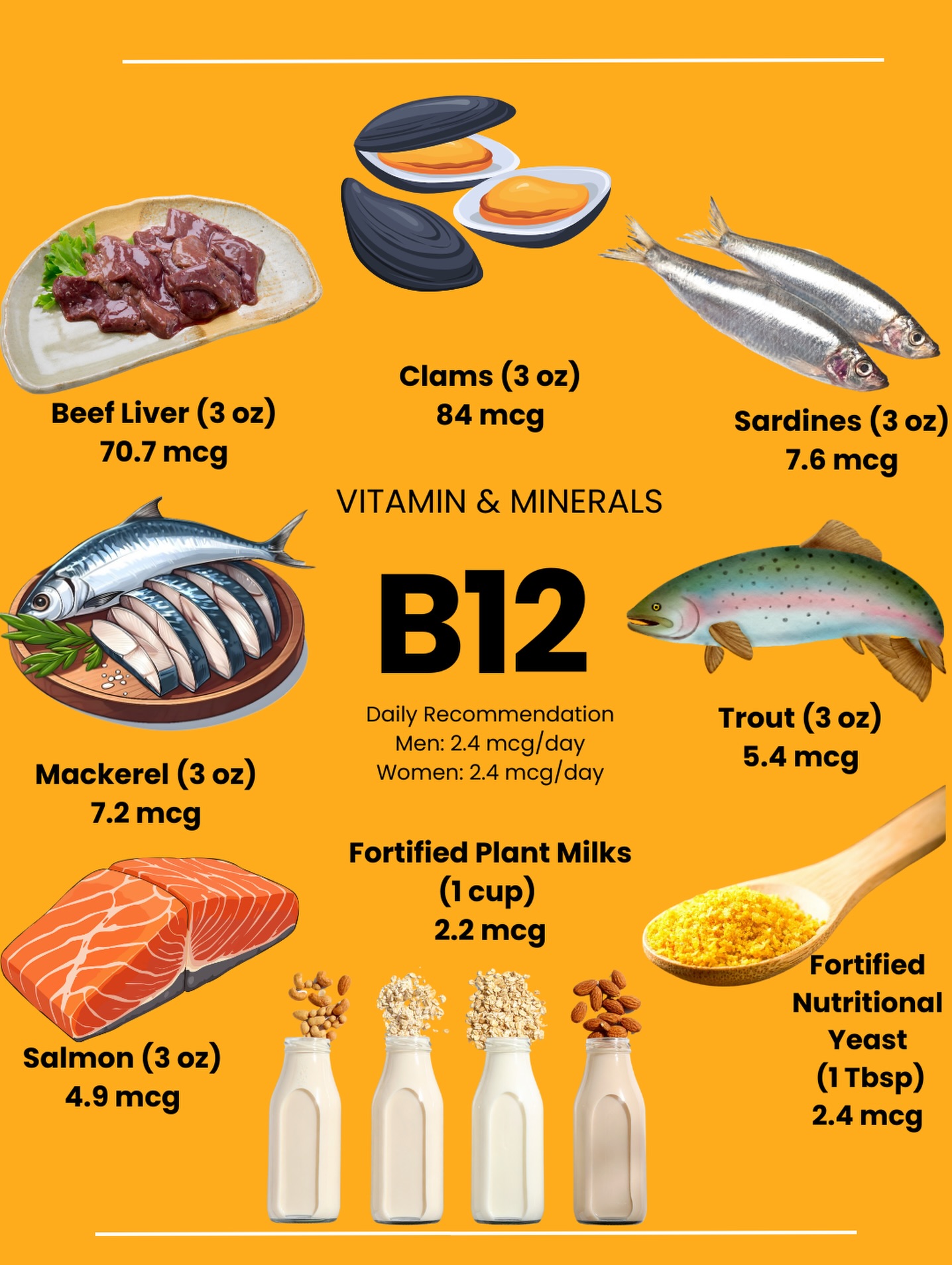 Are you getting enough vitamin B12 through your diet? If you don't regularly consume animal products, you could become deficient in vitamin B12. Try adding the following vitamin B12 foods to your