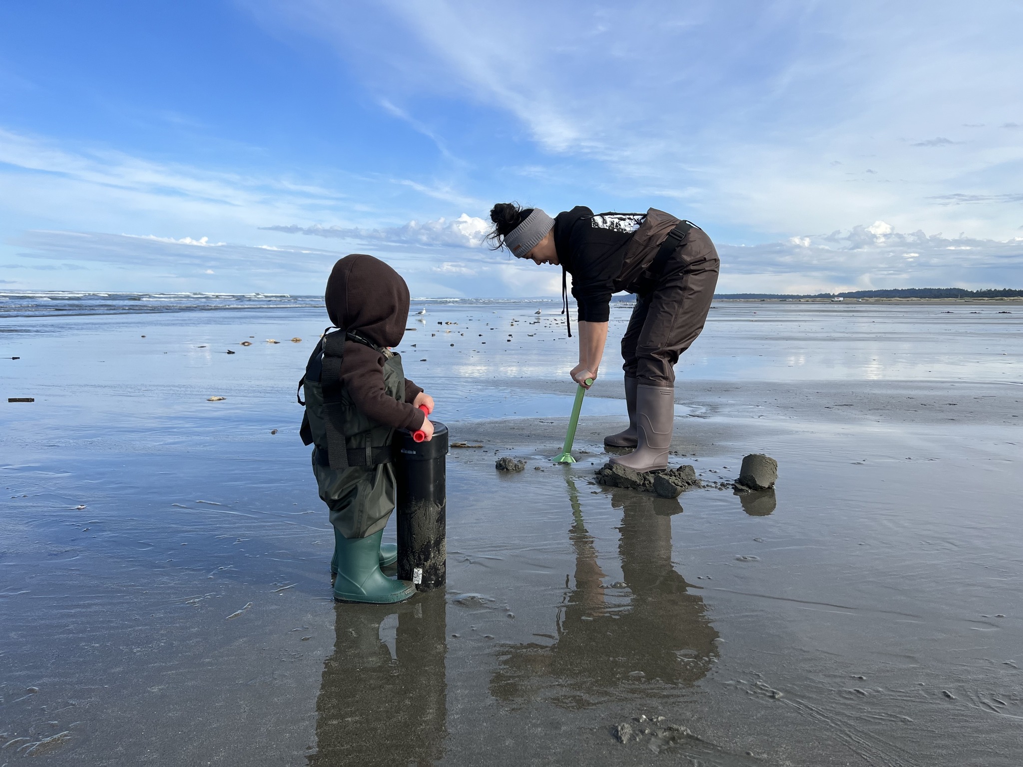 Washington - Dig this! The final seven days of coastal razor clam digs ...
