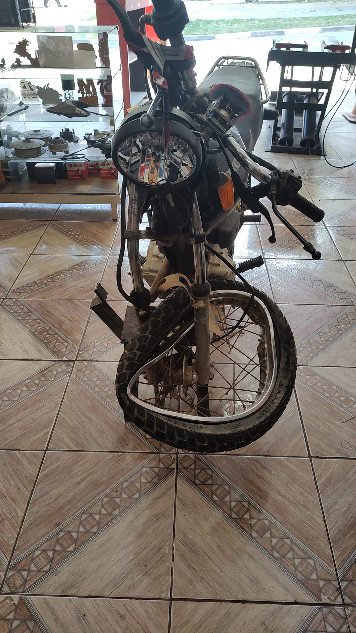 Polly Racer | Franco da Rocha SP
