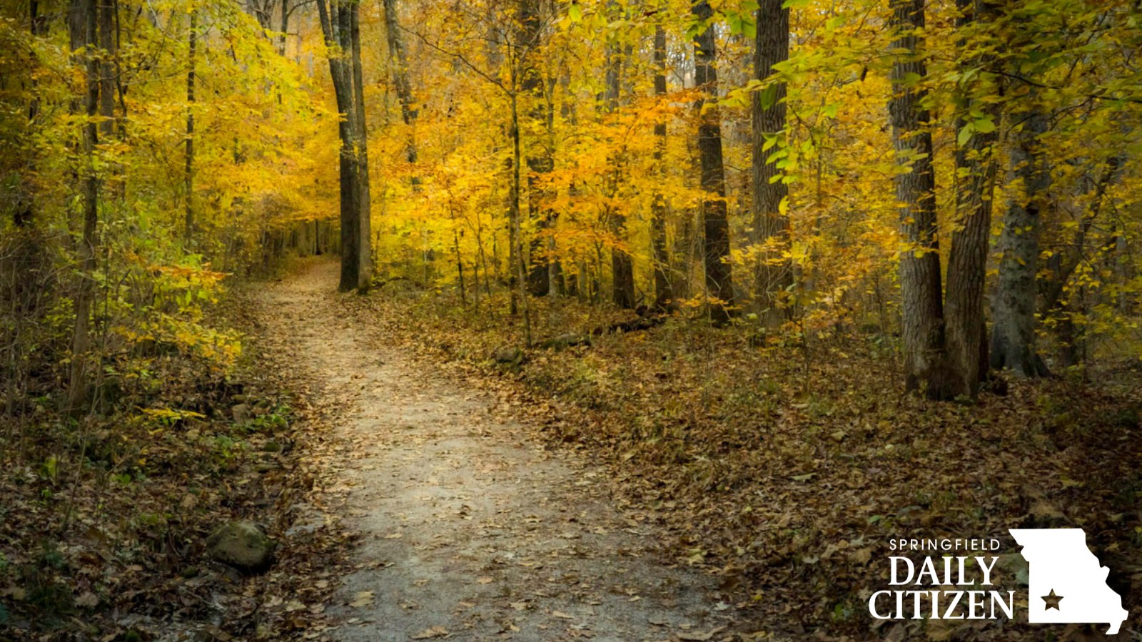Springfield - Fall colors are creeping in. It's time to plan some leaf ...