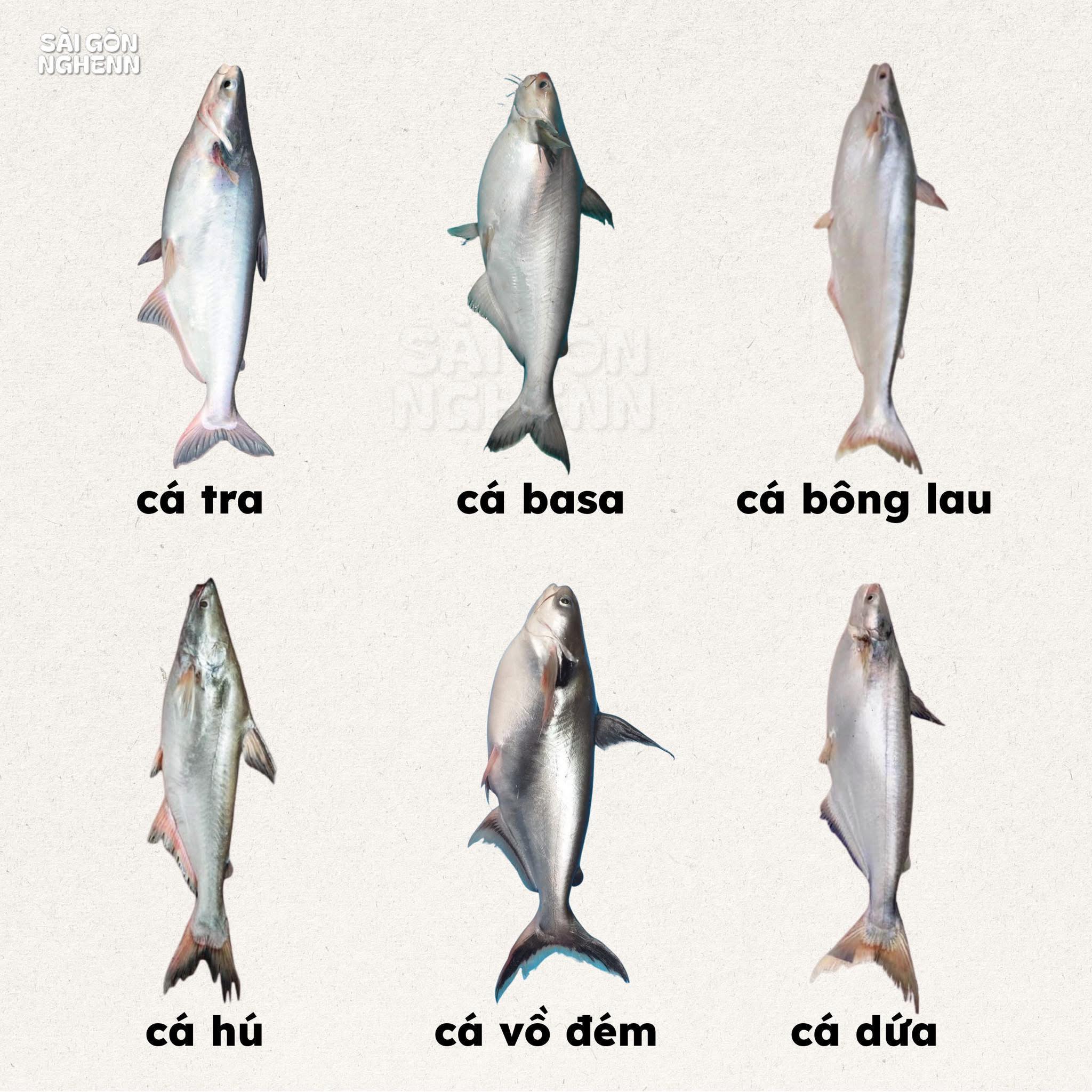 1 phút - Còn khó hơn phân biệt 3 lọ dung dịch mất nhãn nữa trời 😳 Mà ...