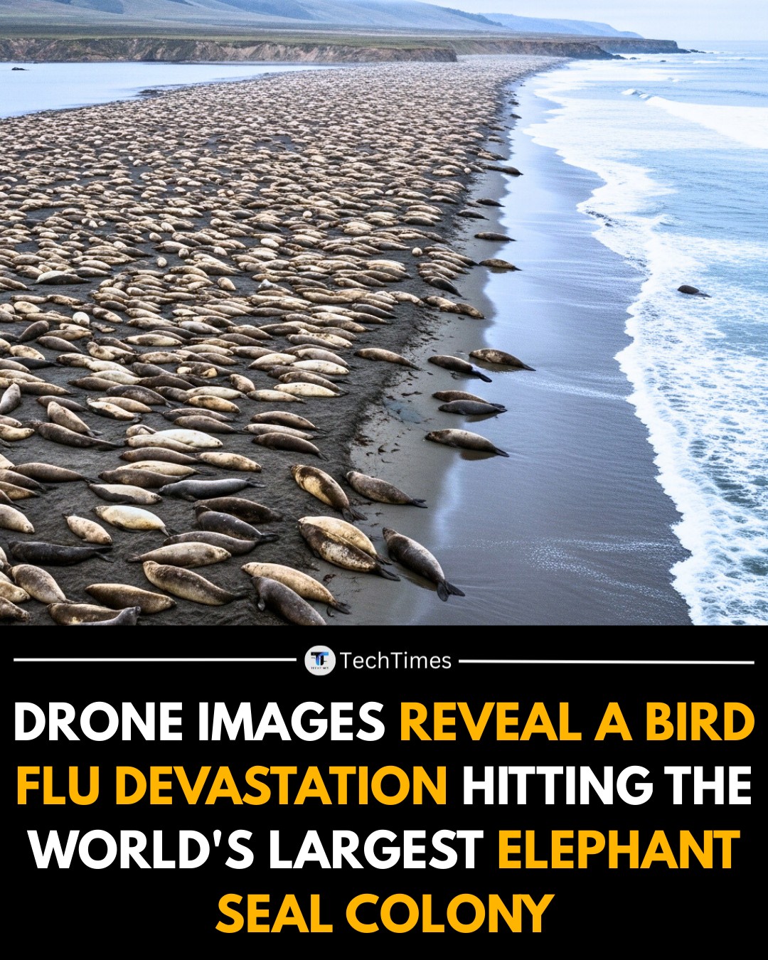 TechTimes - Drone footage has revealed a devastating scene at the world ...