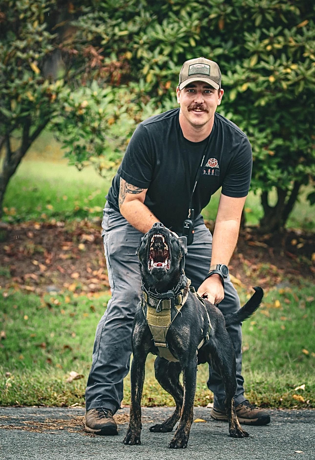 K-9 - Let’s all meet K-9 Maverick of the Fauquier County Sheriff's ...