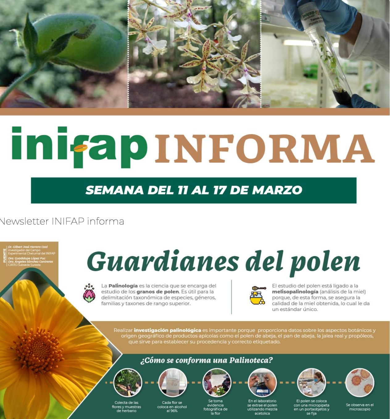 INIFAP - 🌱 ¡Descubre las maravillas de la biodiversidad... | Facebook