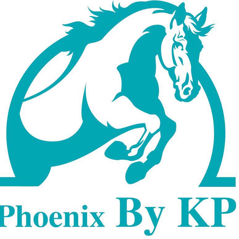 ช่วงสงกรานต์นี้ ทางโรงเรียน... - Phoenix Riding Academy By KP
