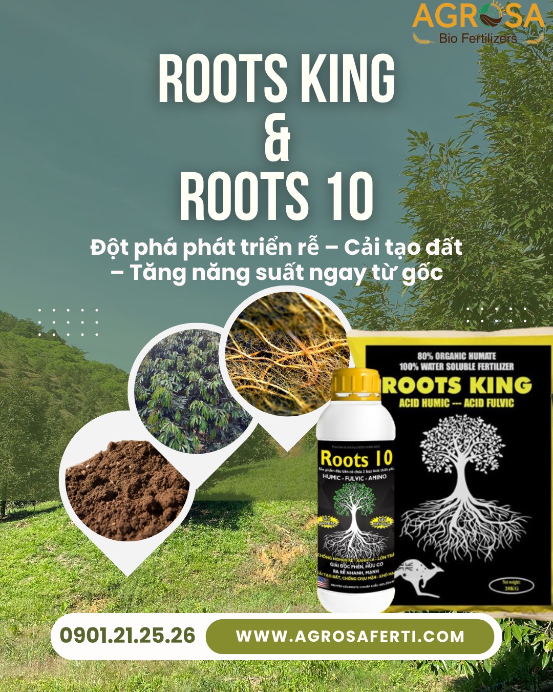 ⚜️ MKP ICL 0-52-34 – DINH... - Nhà máy Bio Agrosa Fertilizers | Facebook
