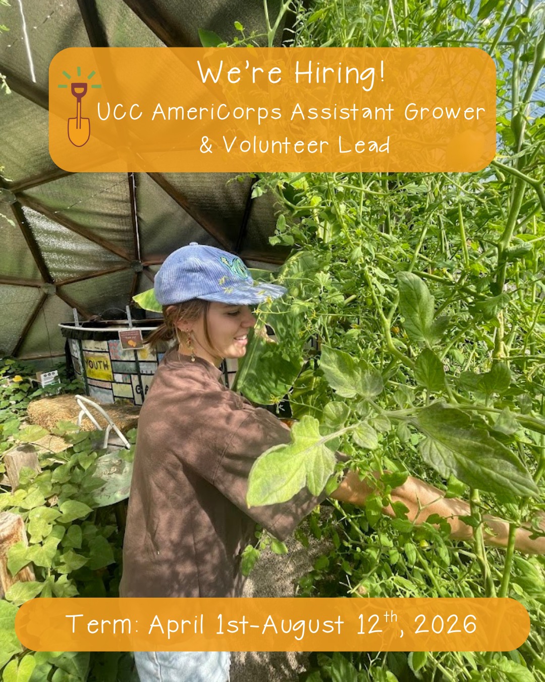 Youth - We're hiring an Assistant Grower and Volunteer Lead for the ...