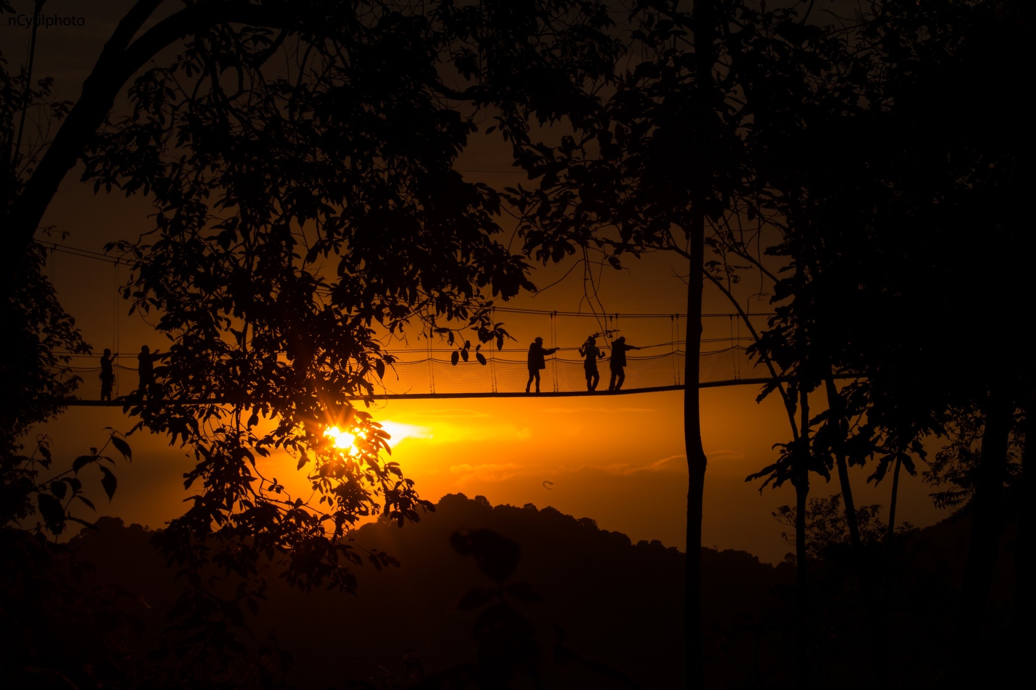 Discover the beauty of Rwanda’s wildness, where incredible wildlife ...