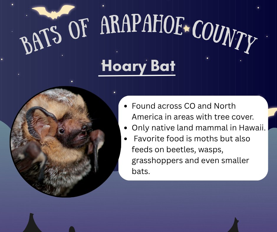 Happ... - Cherry Creek State Park, Colorado Parks and Wildlife | Facebook