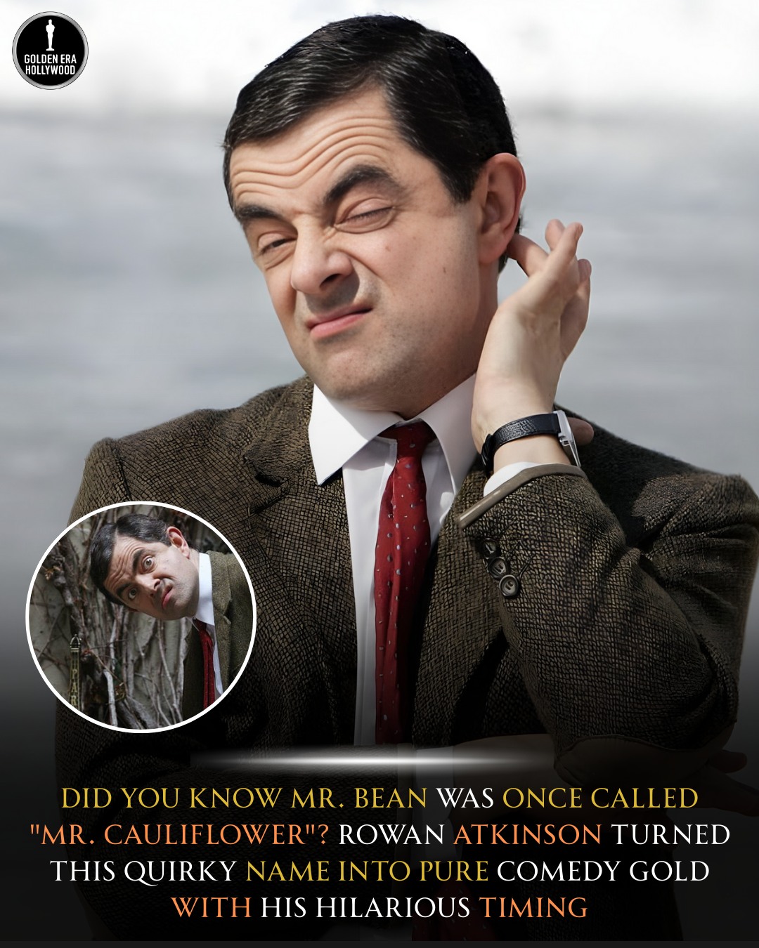 Golden - Did you know that Mr. Bean, the beloved character portrayed by ...