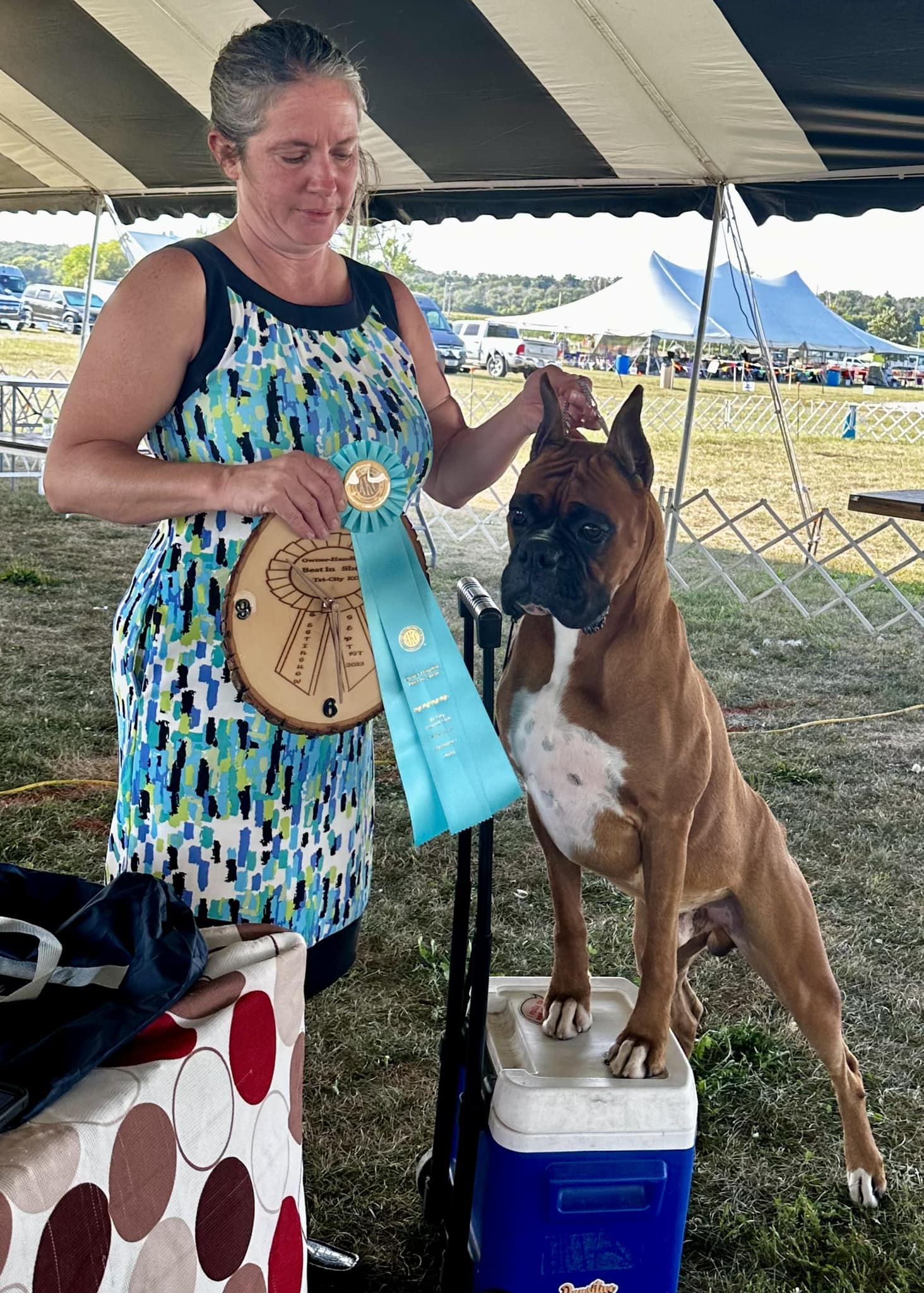 FarMore - Just keep ROLLING with this Plain Boy THE HONEY BADGER! GCH ...