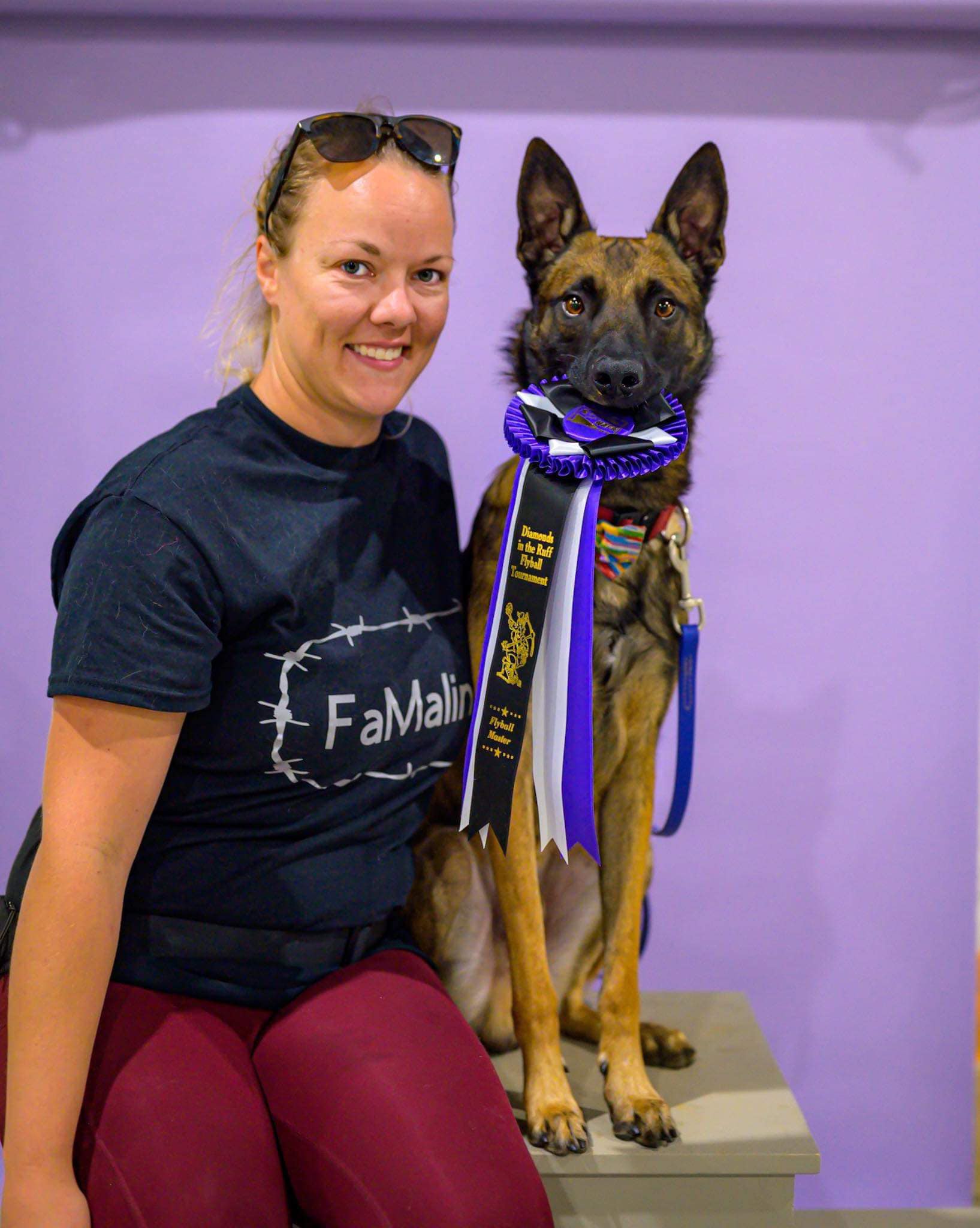 Dynamo Darts Flyball Team... - Dynamo Darts Flyball Team