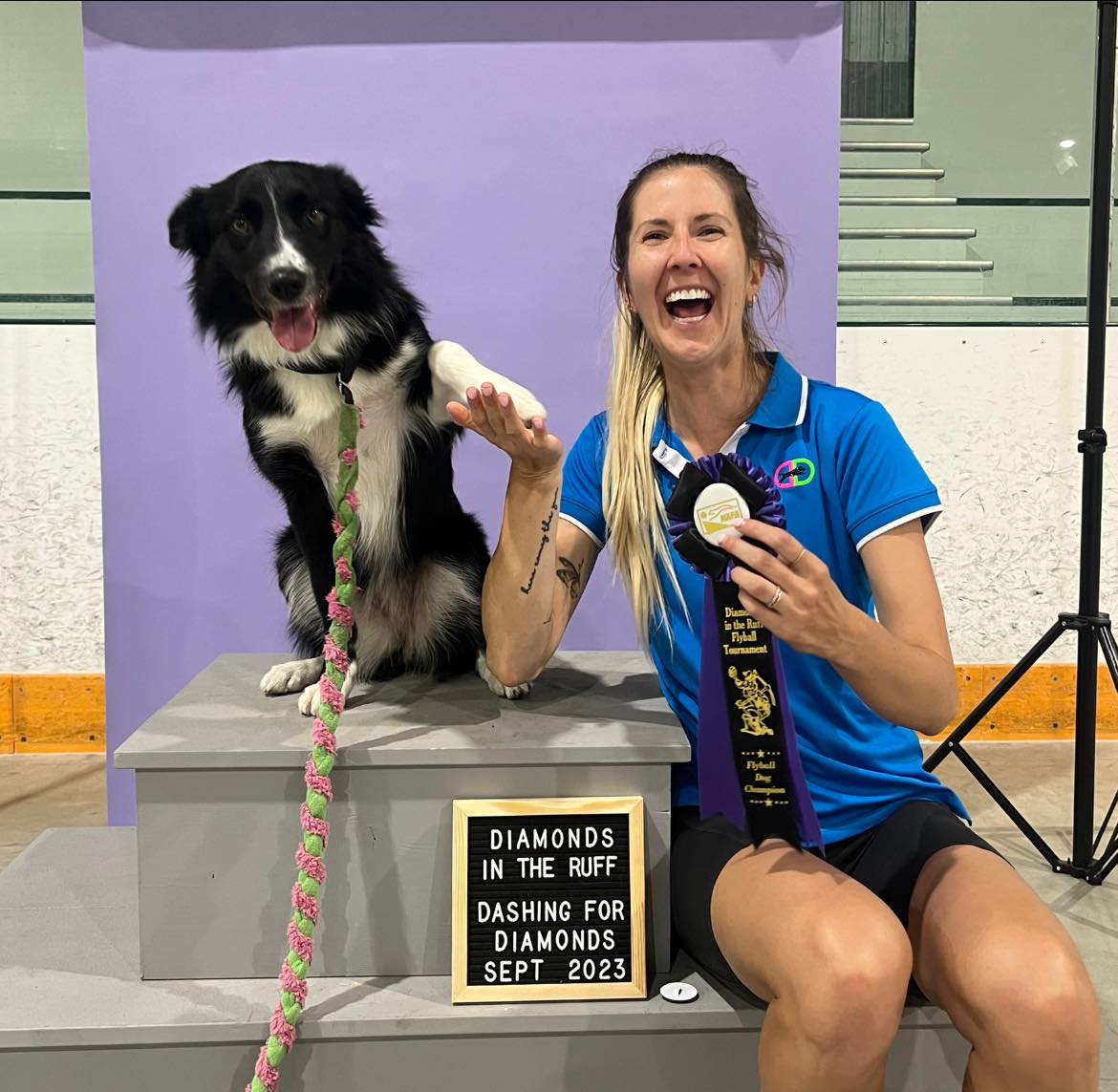 Dynamo Darts Flyball Team... - Dynamo Darts Flyball Team