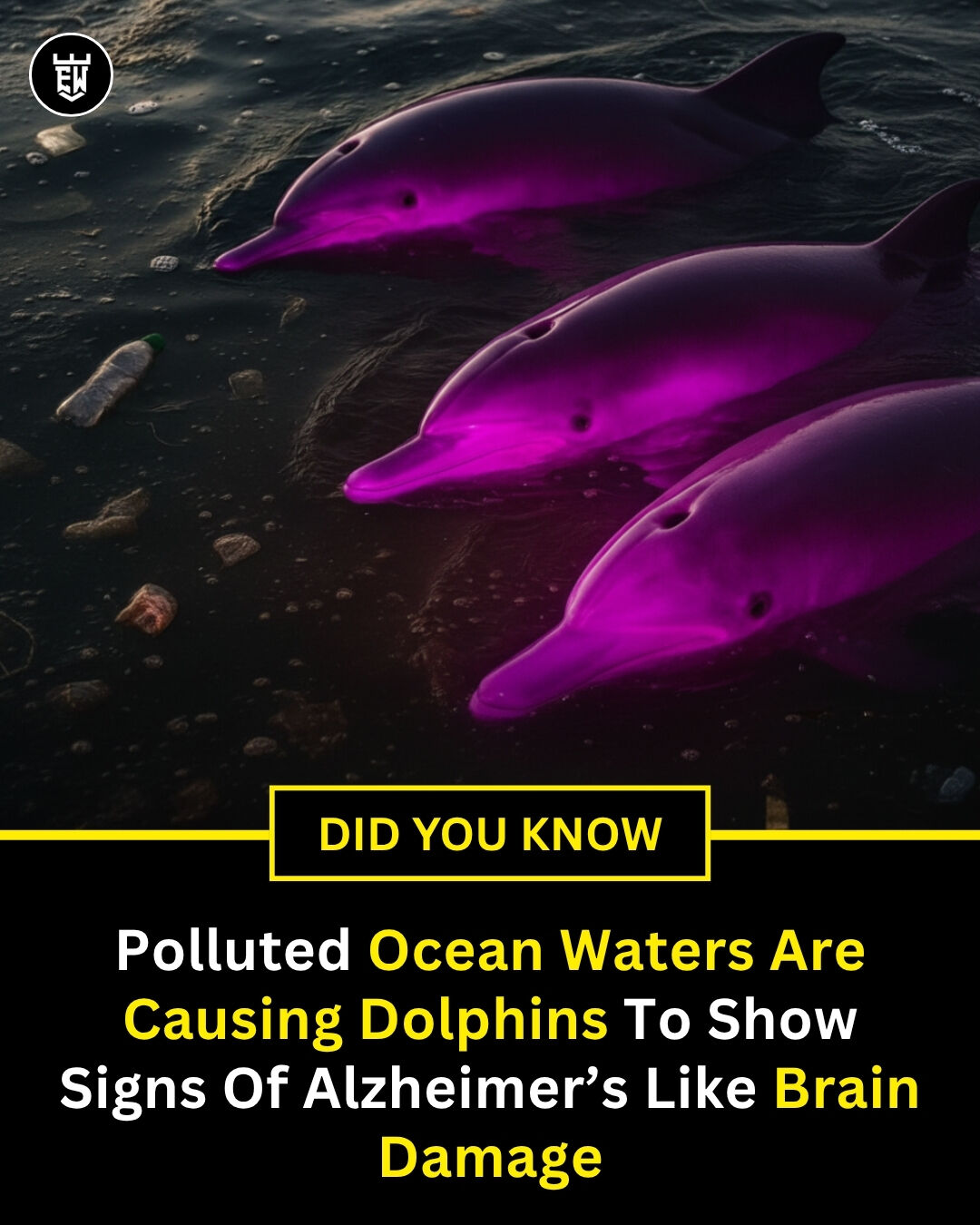 Explaining - In a heartbreaking discovery, scientists have found that ...