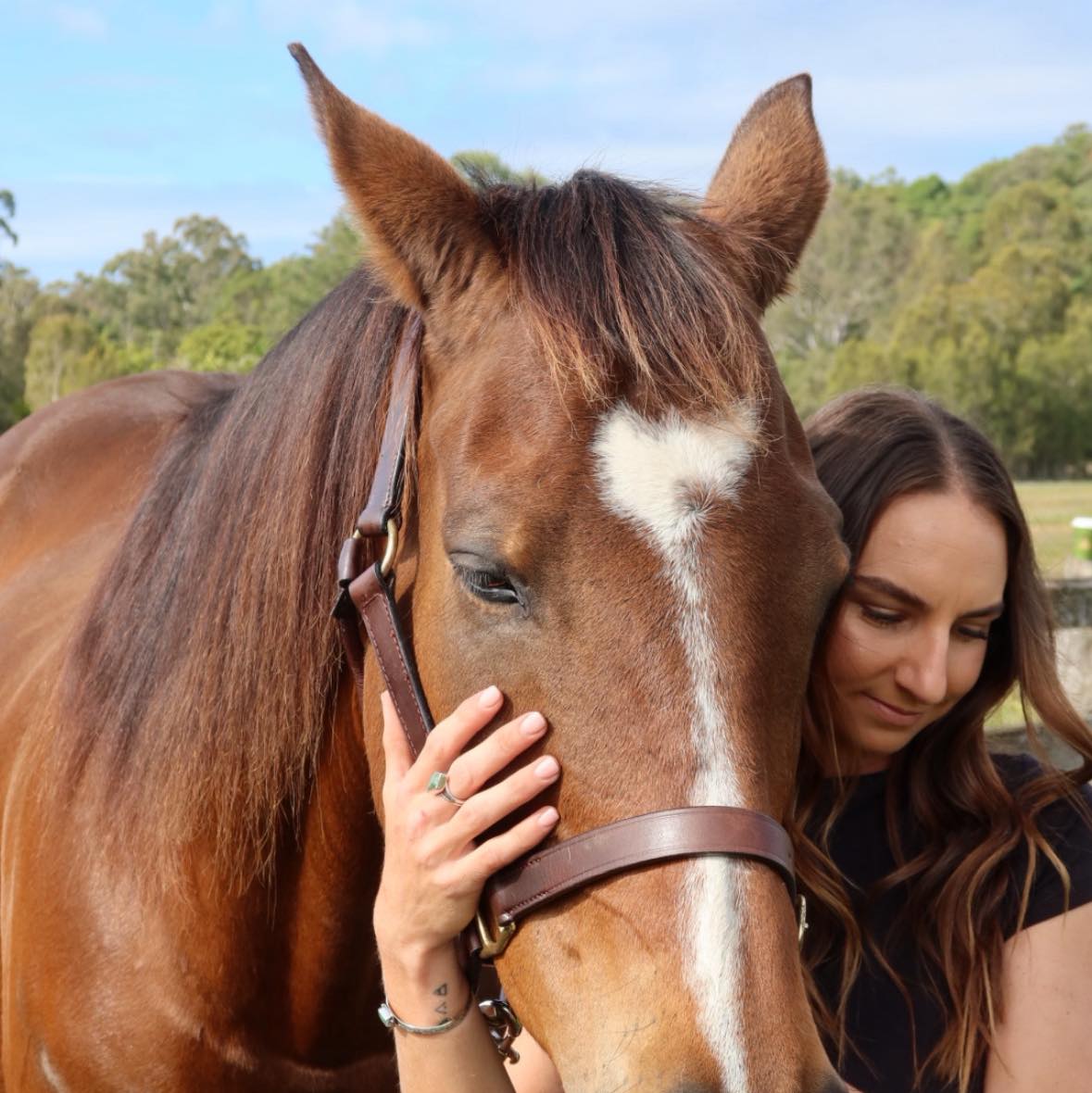 Equi-Rescue is a concentrated blend of Valerian, Passionflower and ...