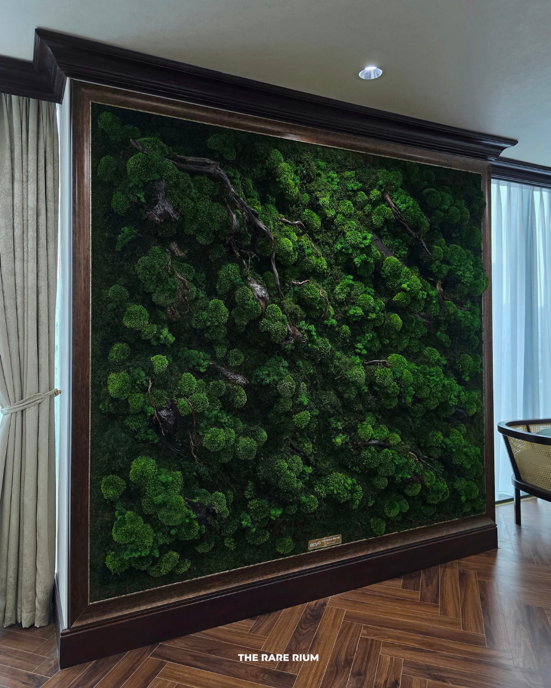 The Rare Rium - Plant &... - The Rare Rium - Plant & Moss Art