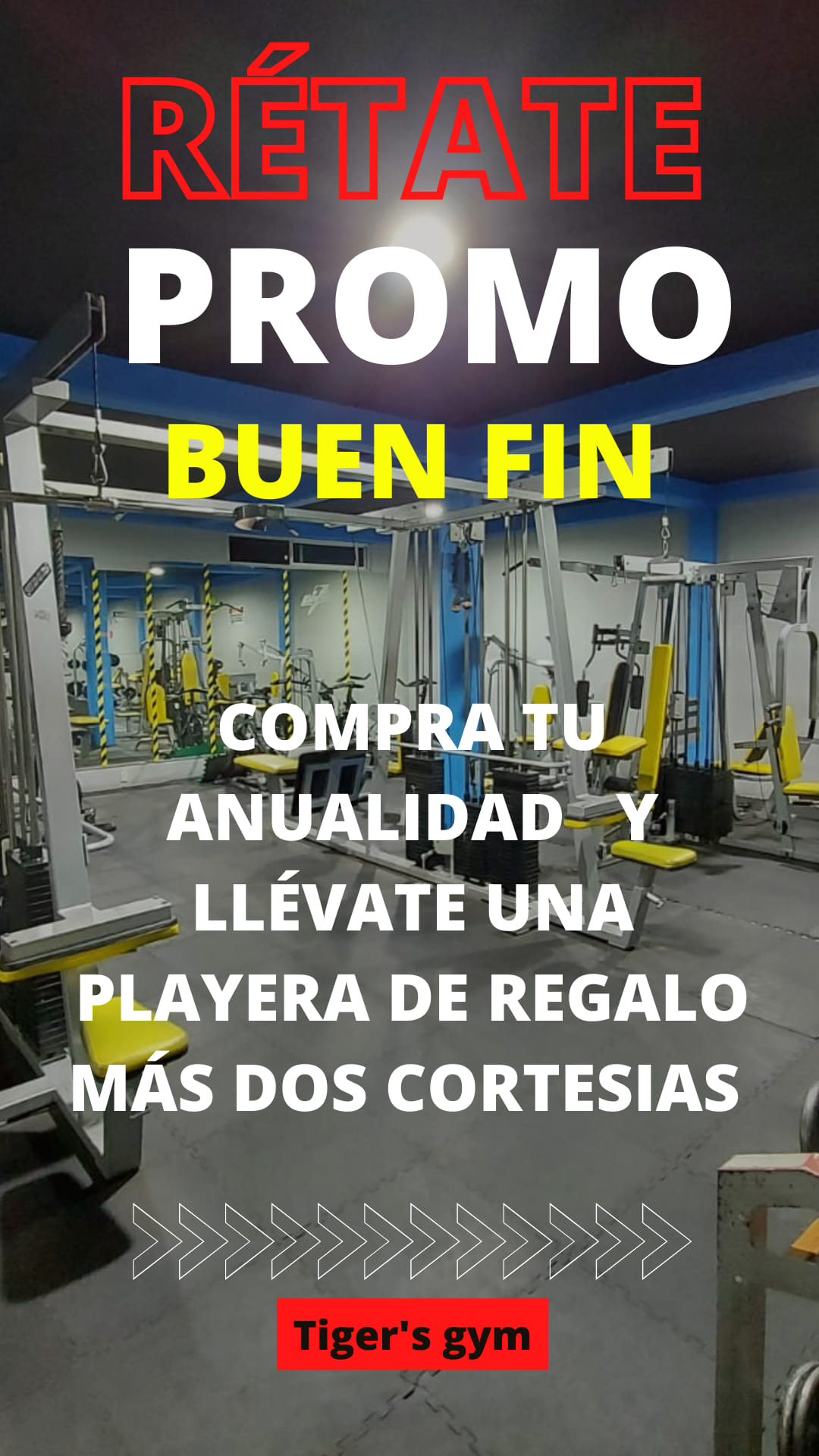 Tiger's Gym | Mexico City