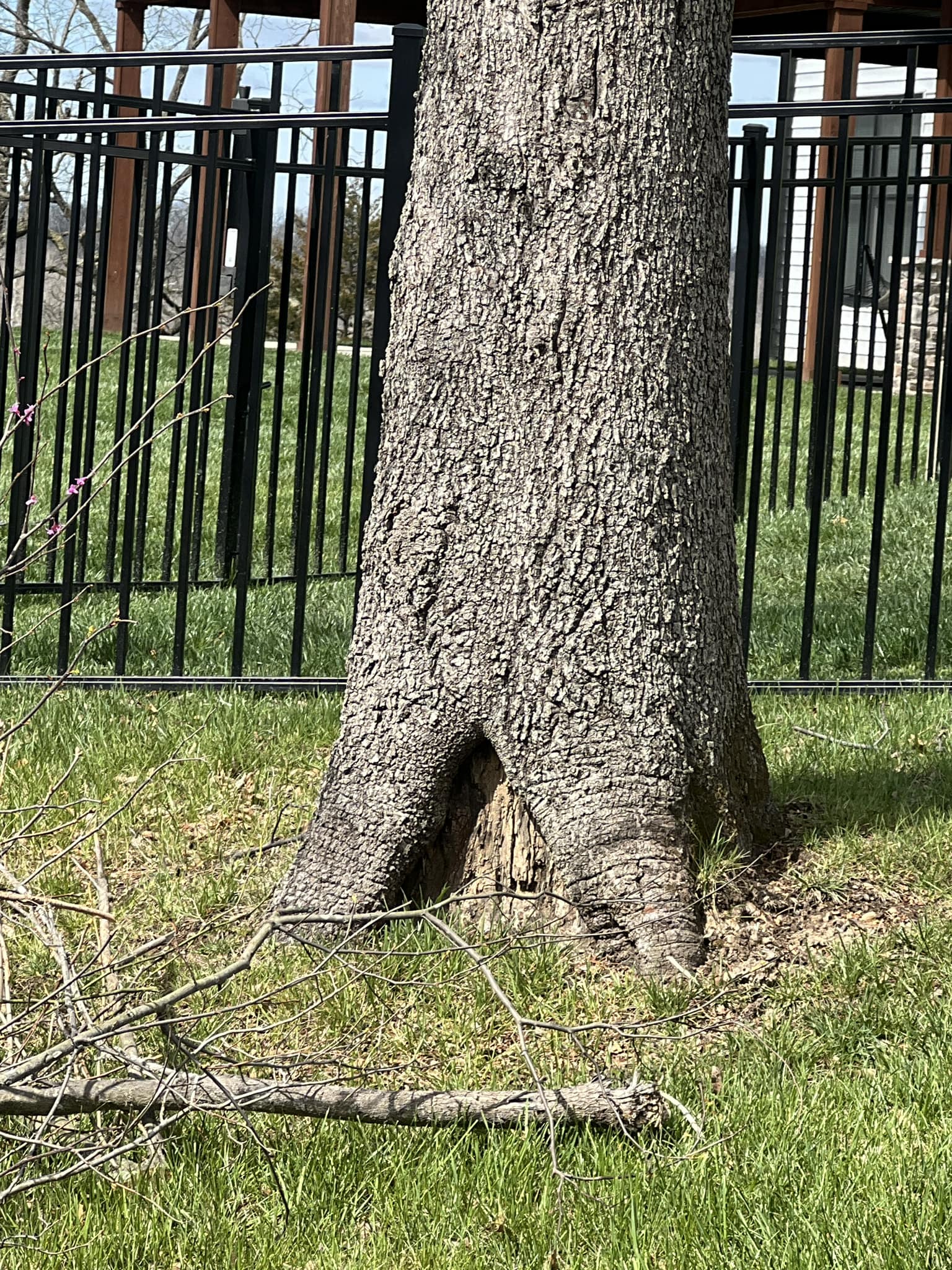 Wilson Tree Service LLC | Hannibal MO