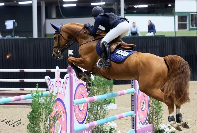 Great round from Griffin! 👏 Avery Griffin and Oh My Star Van