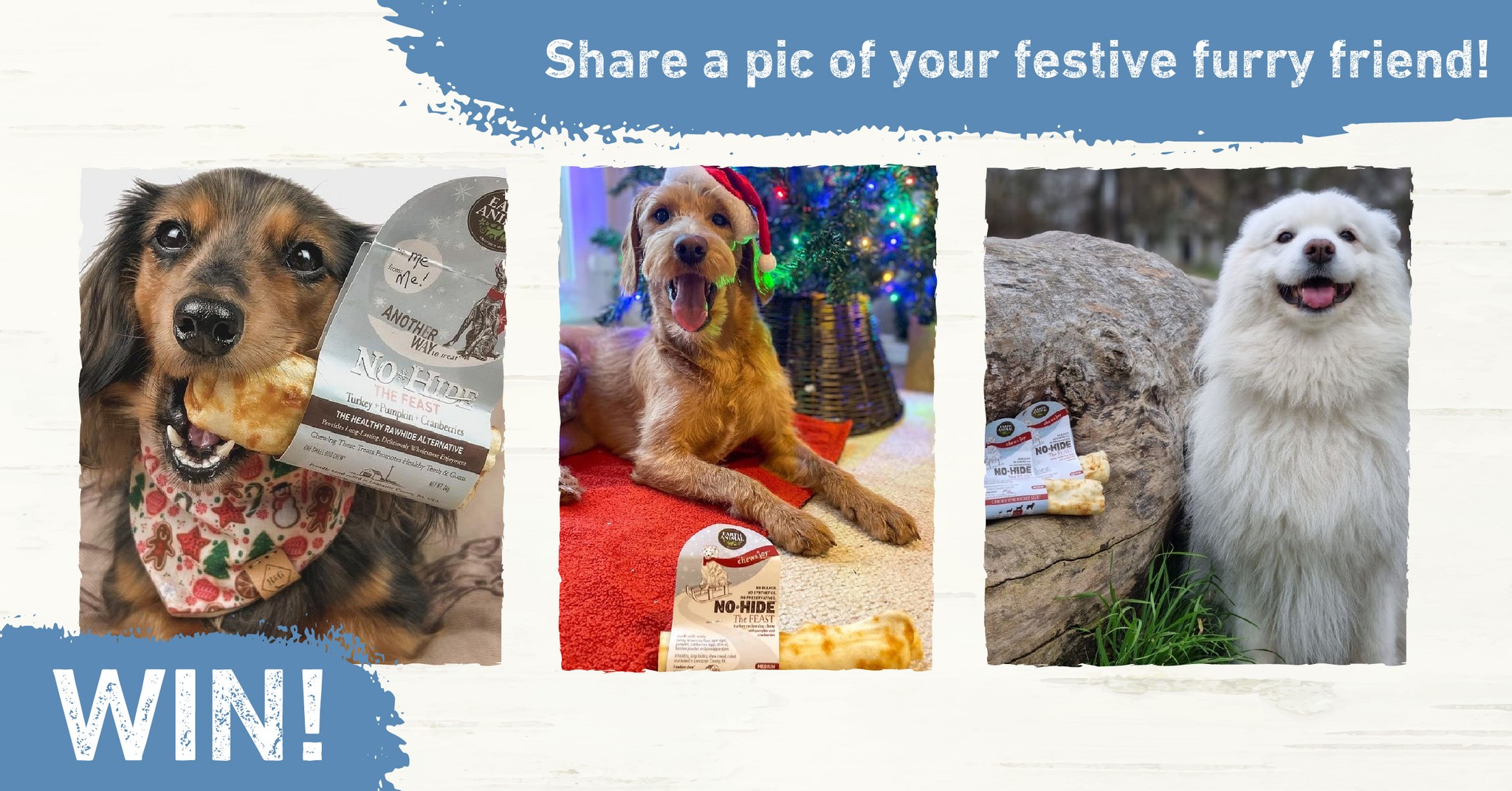Earth Animal UK - WIN To kick off the festive...