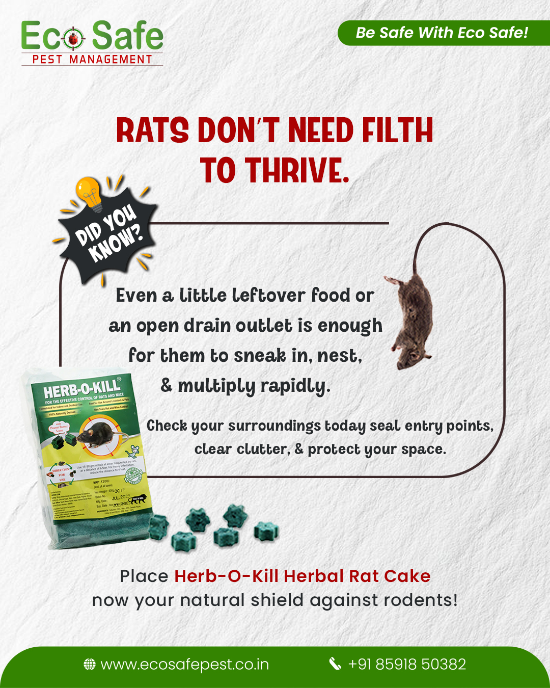 Ecosafe Pest Management added a... - Ecosafe Pest Management
