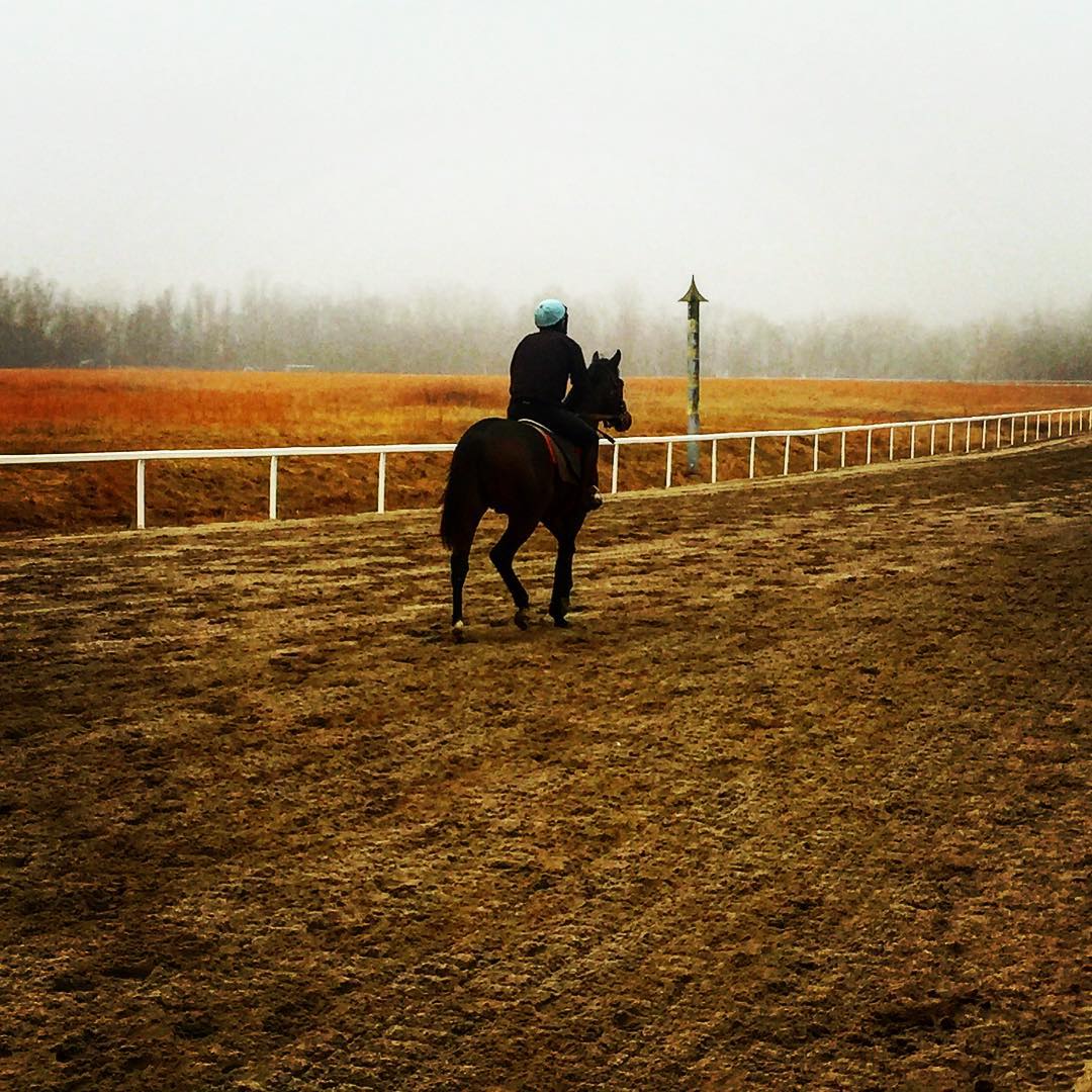 Middleburg Training Center - Training at the @middleburgtrack 🐎 ...