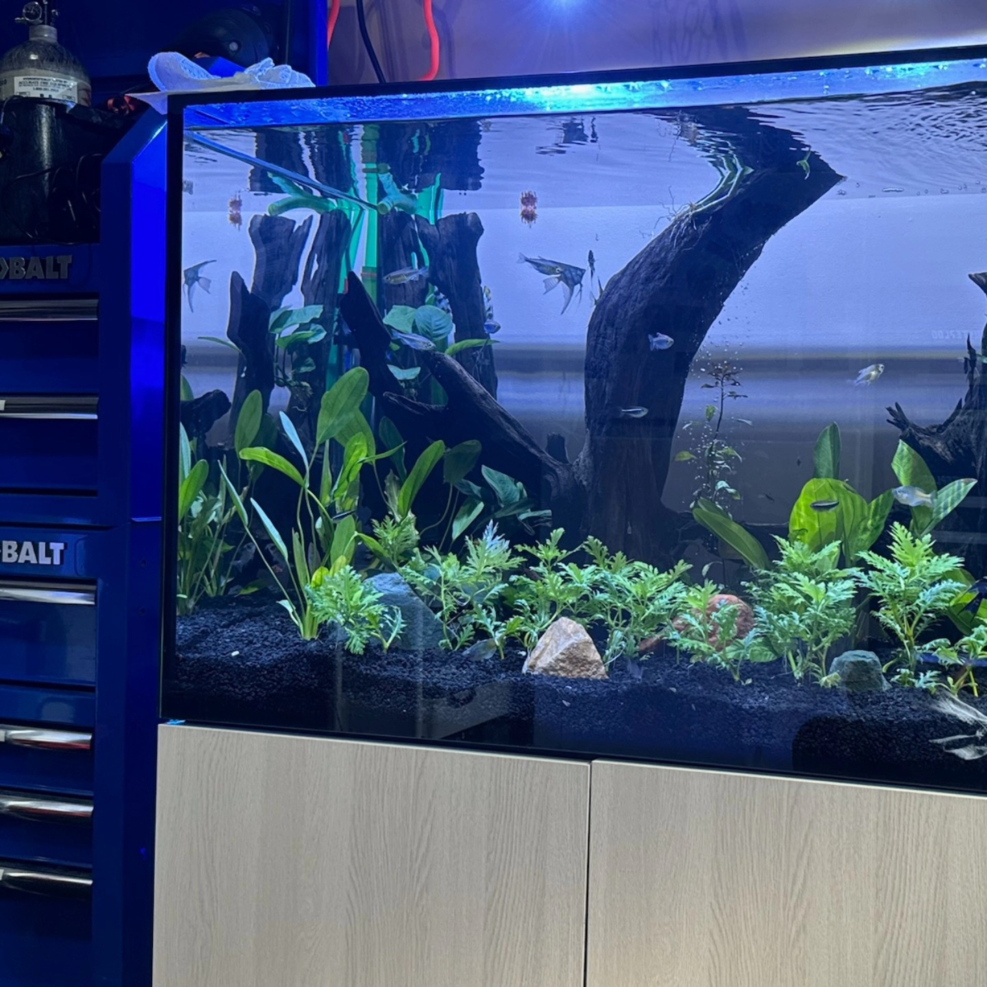 frag.farm | Staten Island NY