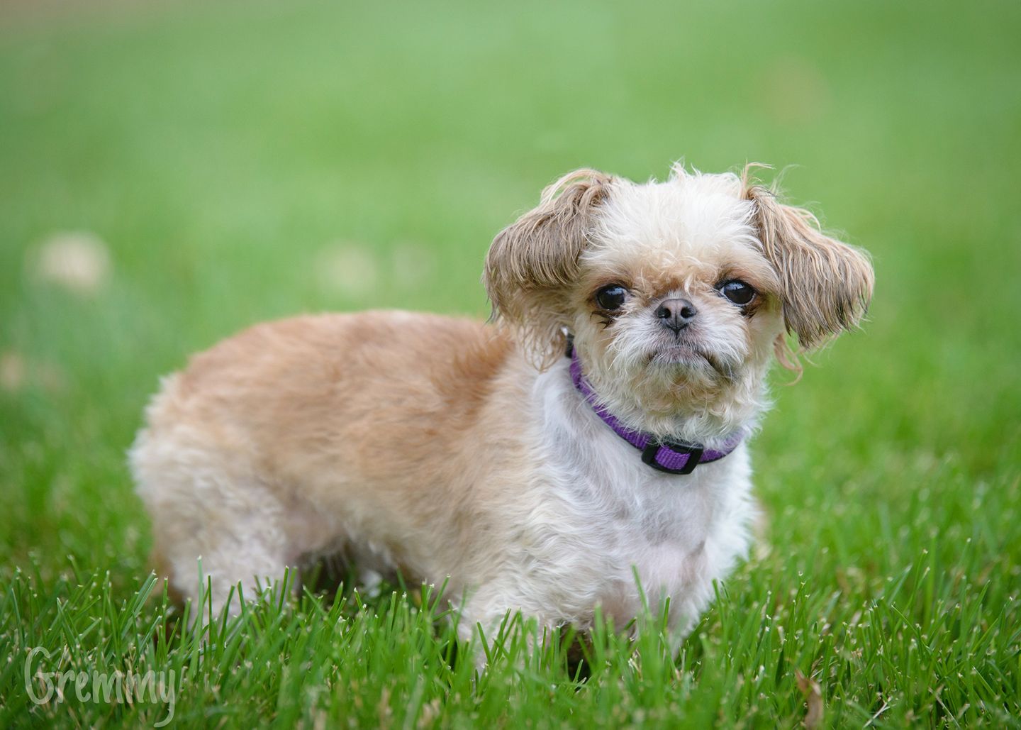 Vegan, fur-free, and always advocating for animals—happy birthday