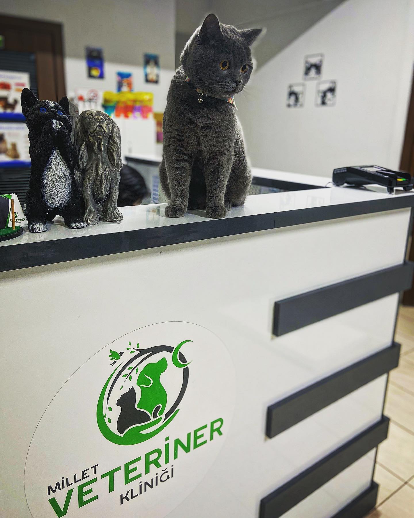 milletveterinerklinigi | Bursa