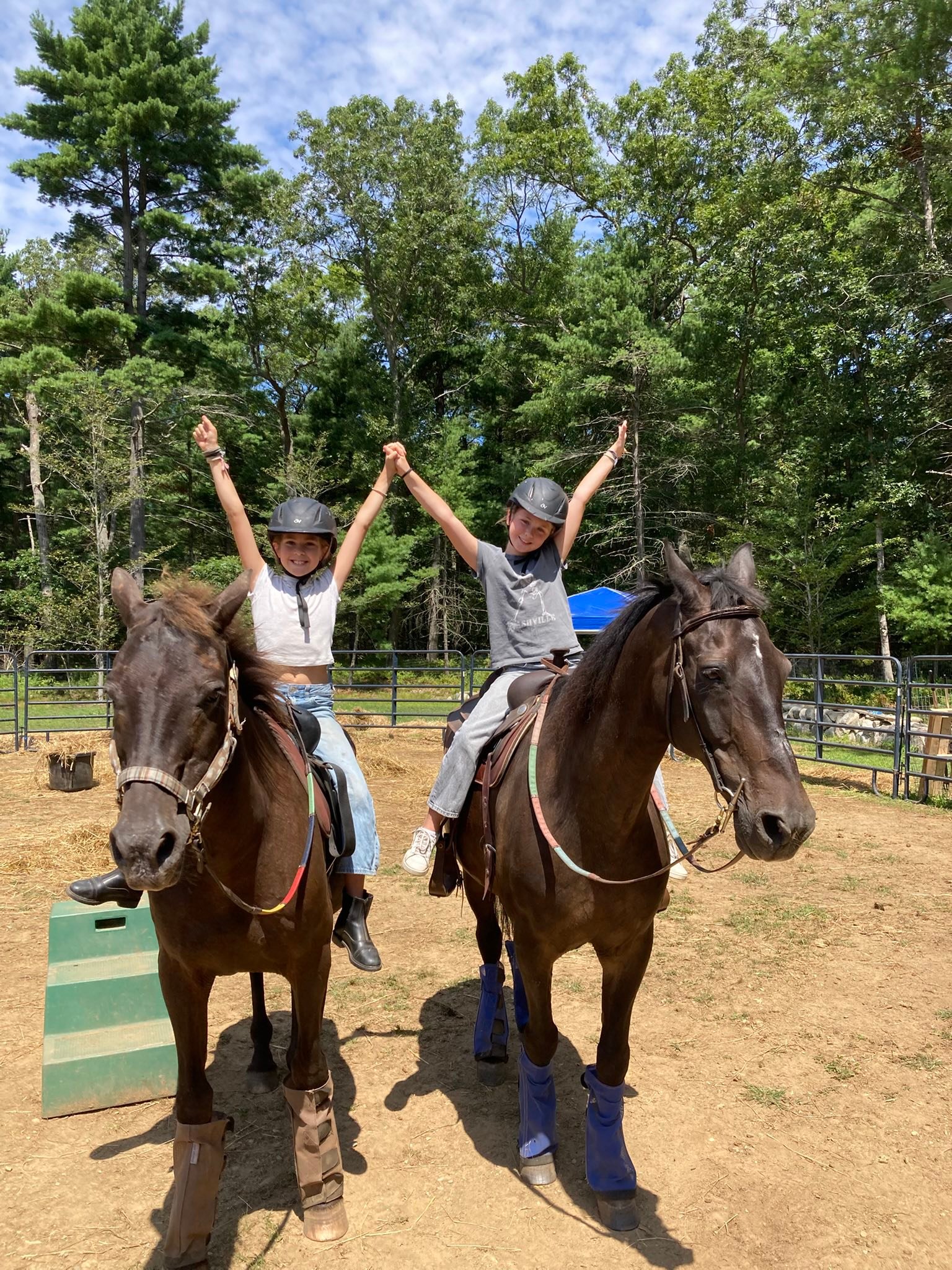 Forest Ridge Farm Hingham