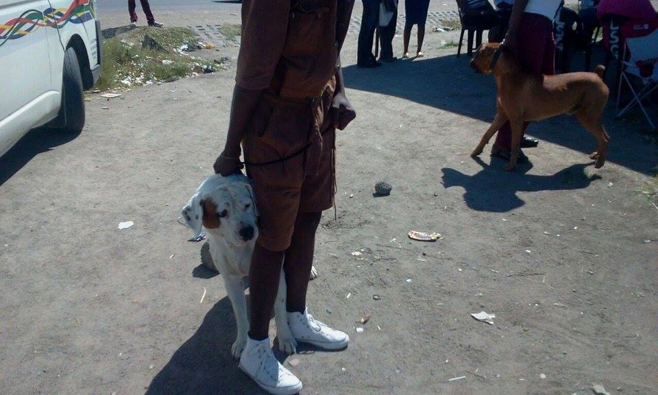 SPCA Rustenburg | Rustenburg