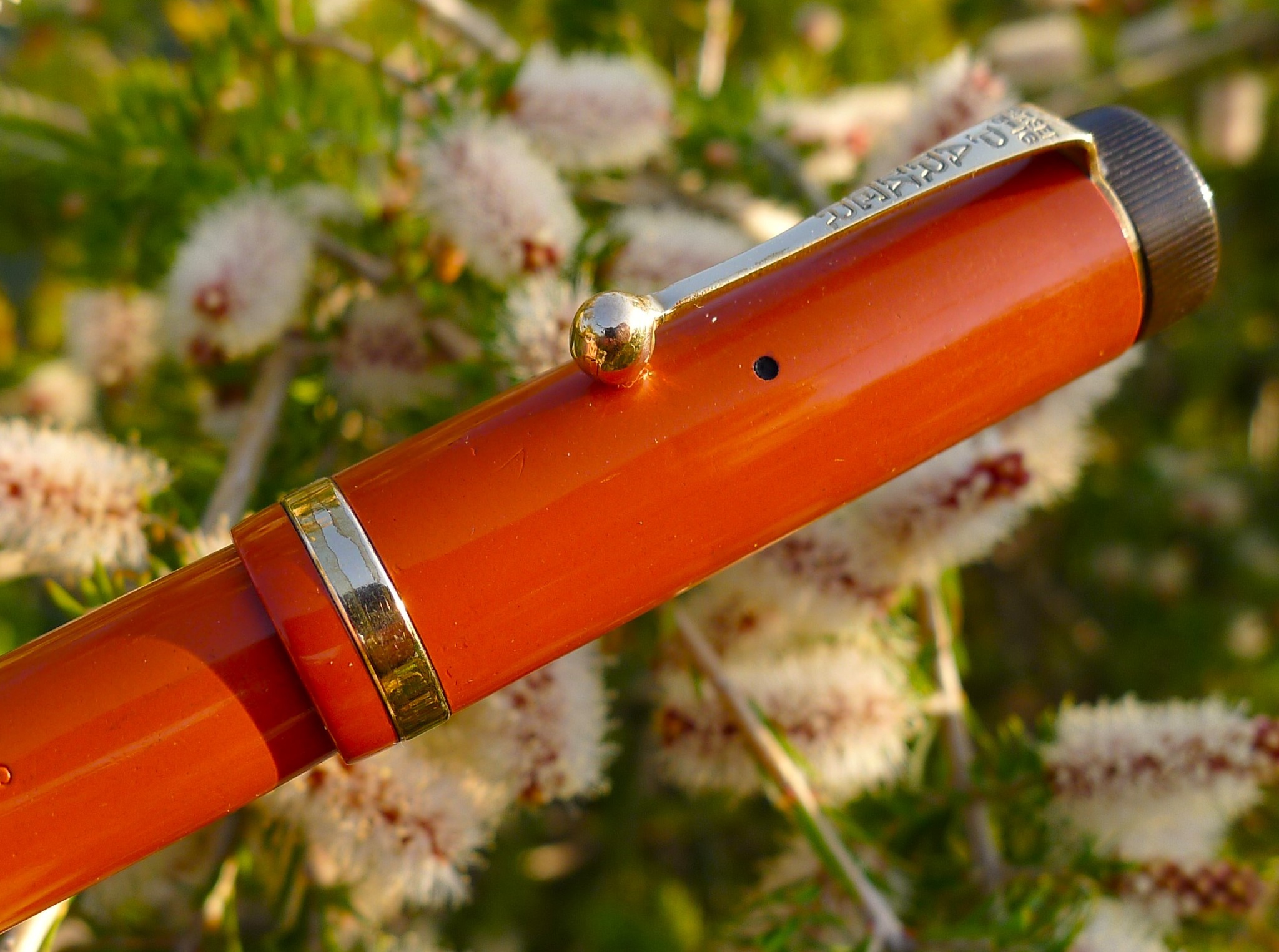 PARKER Duofold Senior Lucky Curveオリジナル箱入